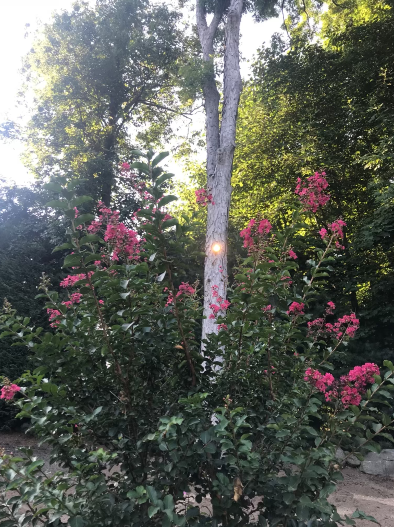 Screen Shot 2021-11-01 at 3.10.03 PM.png