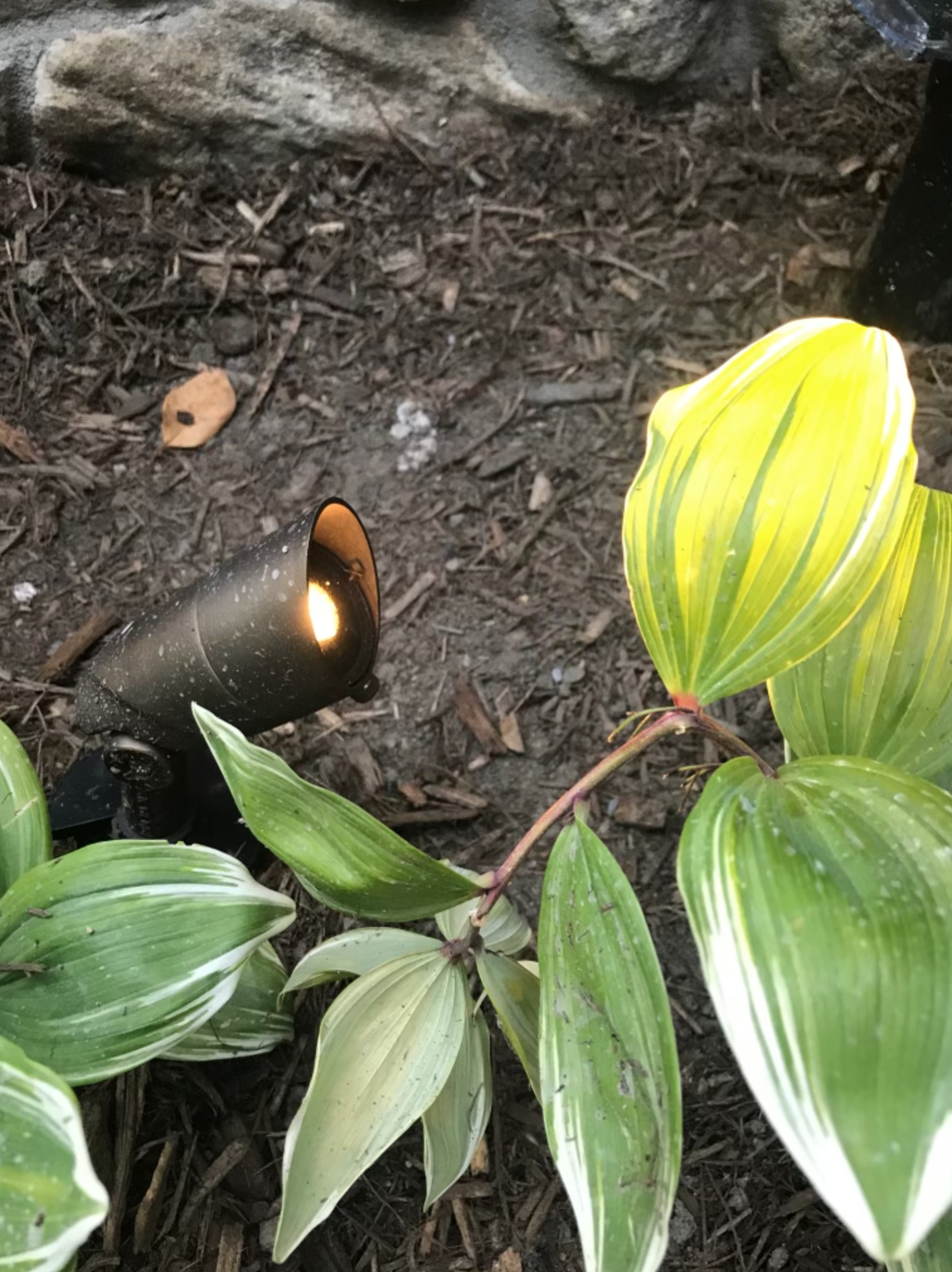 Screen Shot 2021-11-01 at 3.09.01 PM.png