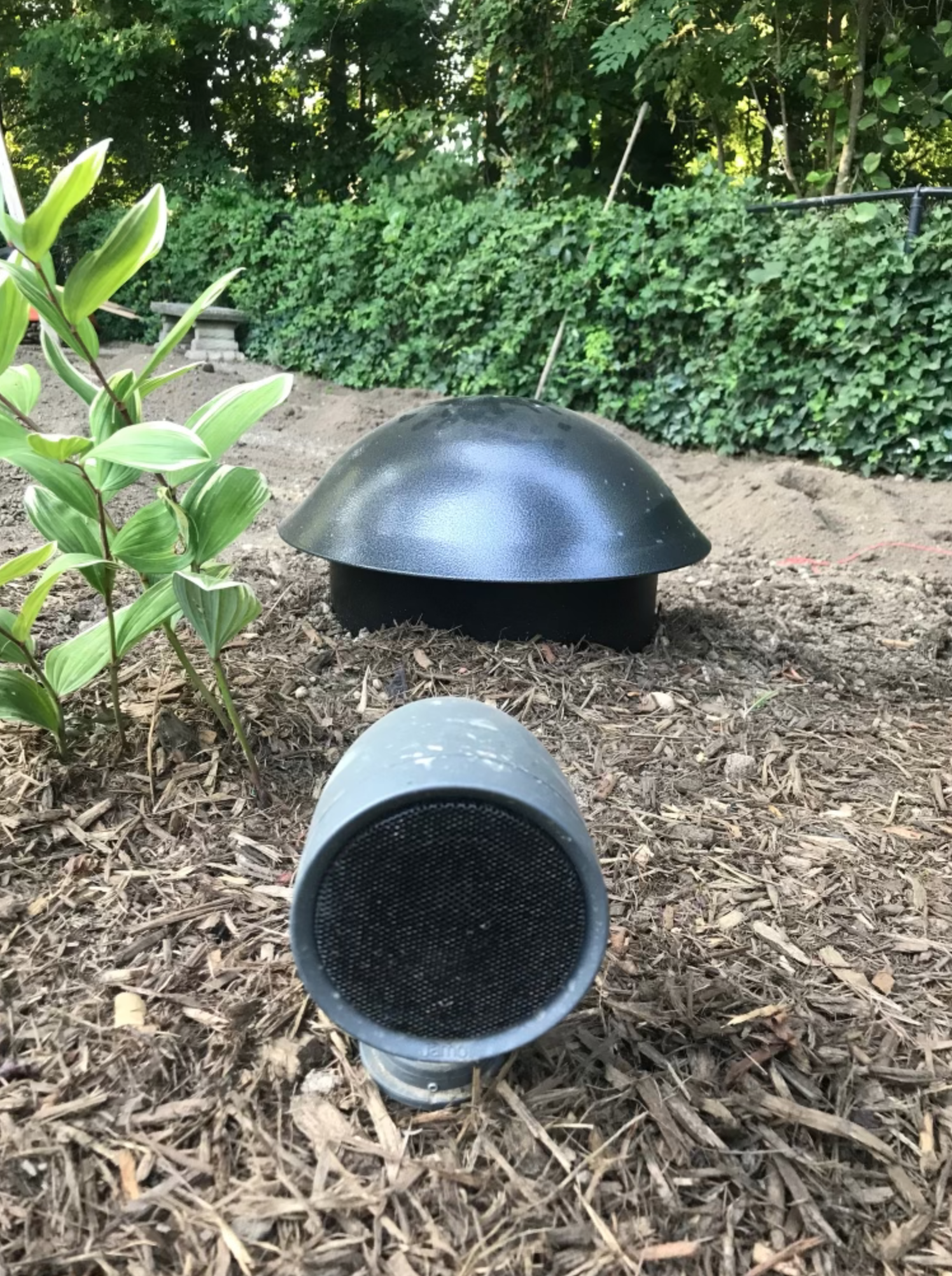 Screen Shot 2021-11-01 at 3.10.48 PM.png