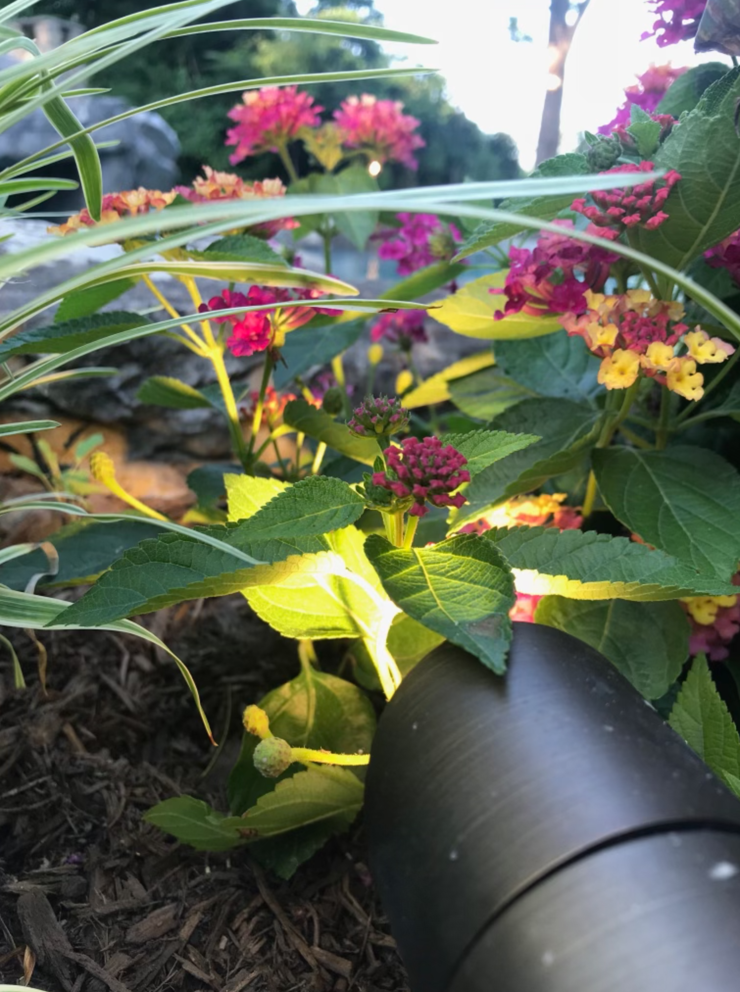 Screen Shot 2021-11-01 at 3.08.43 PM.png