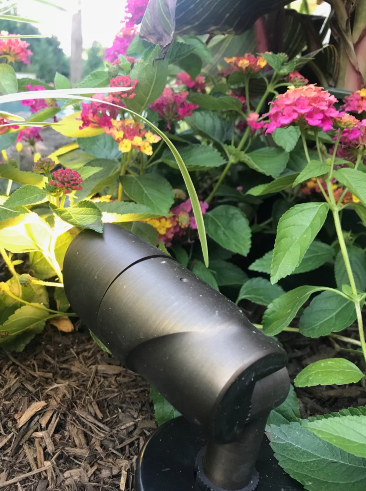 Screen Shot 2021-11-01 at 3.08.24 PM.png