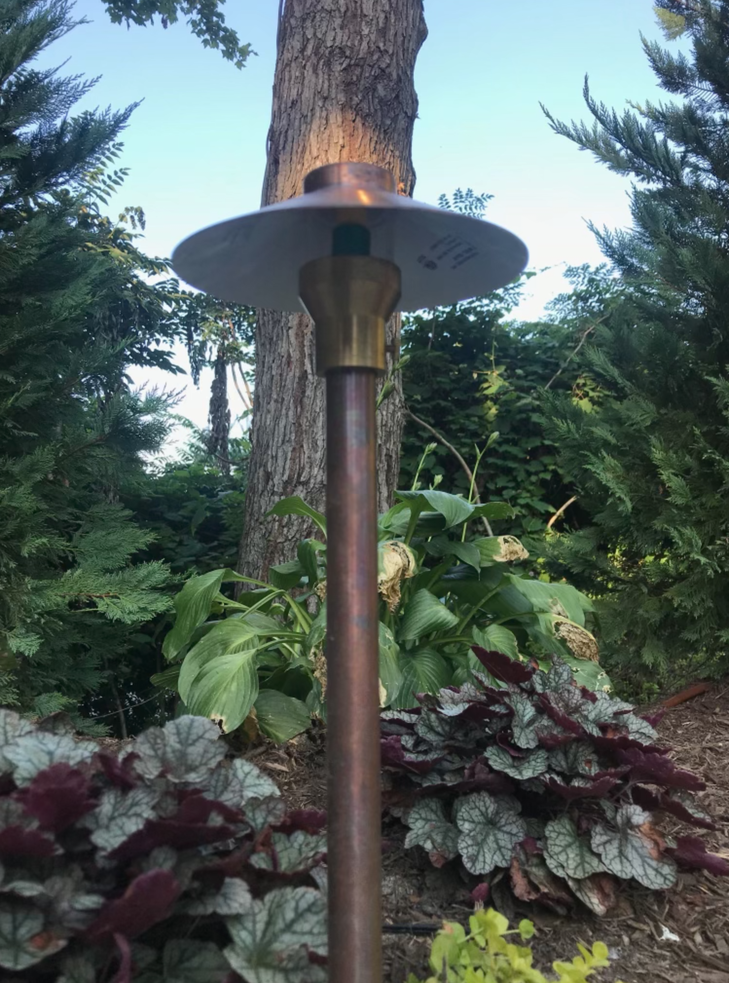 Screen Shot 2021-11-01 at 3.08.53 PM.png