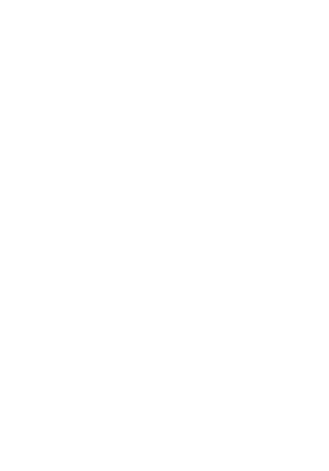 dL Design Studio