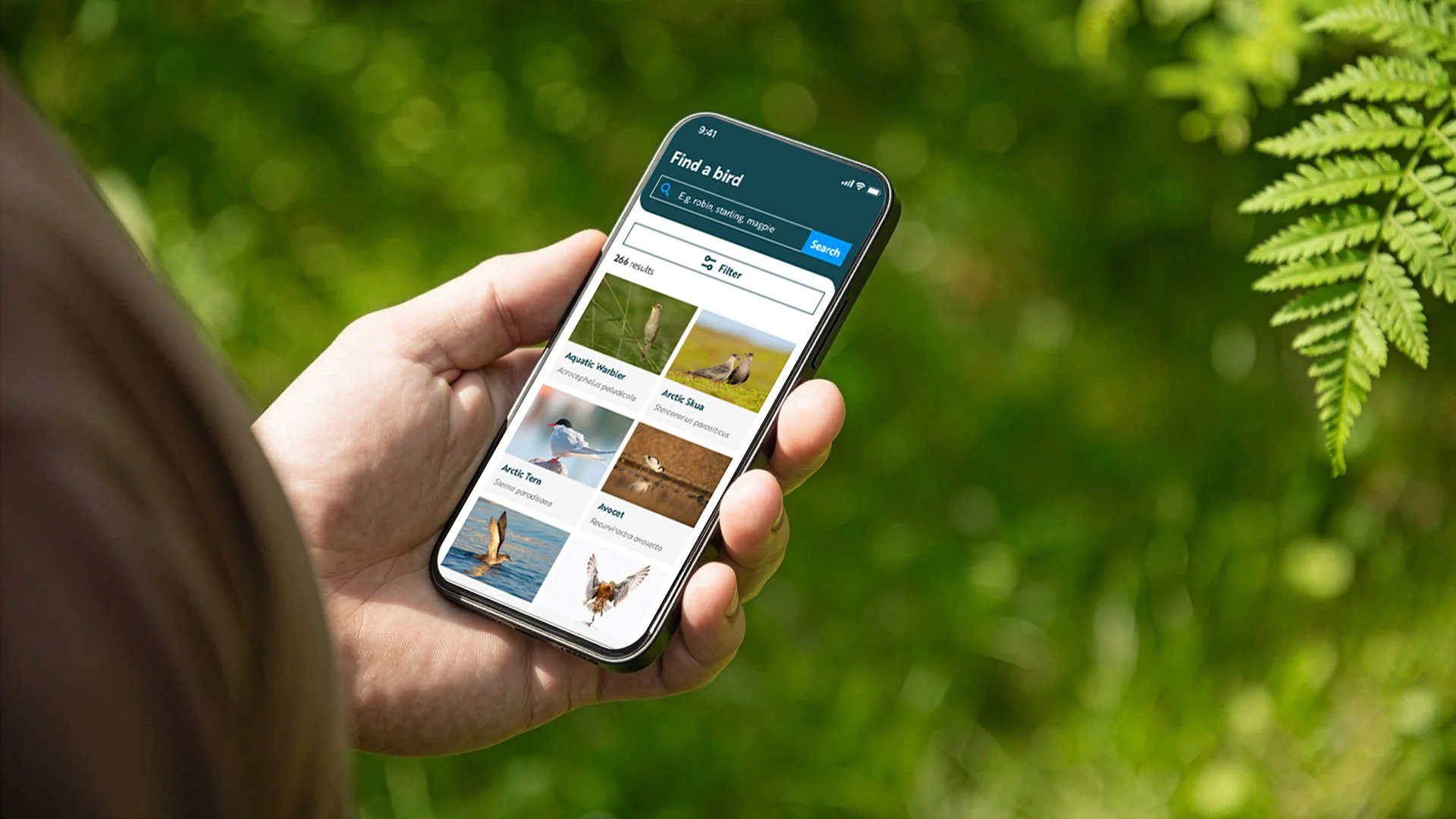 rspb_app.jpg