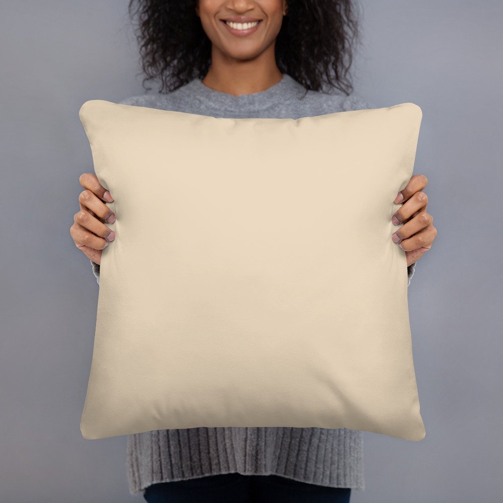 all-over-print-basic-pillow-18x18-back-636d6629bd599.jpg