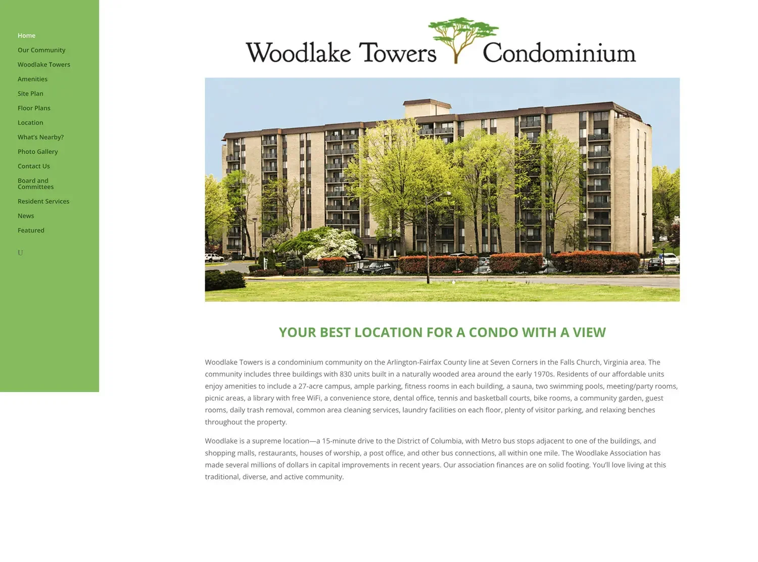 website before