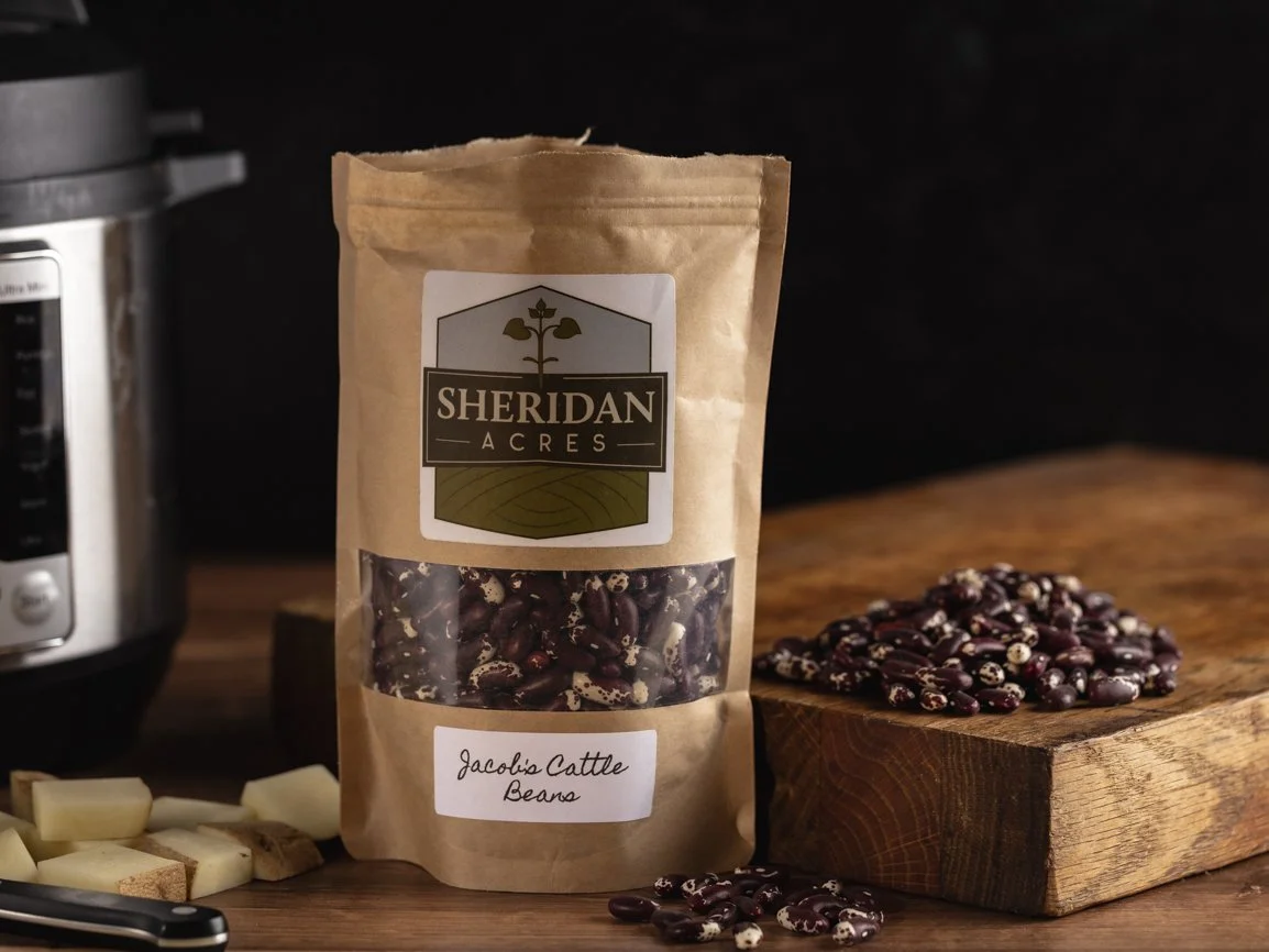 Jacob's Cattle Beans