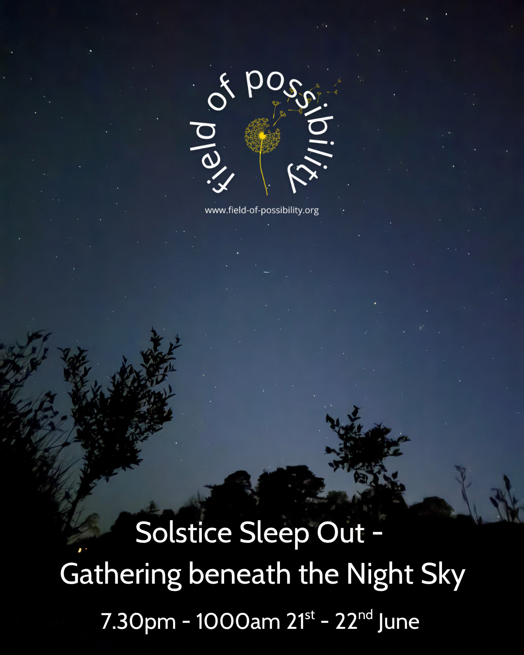 Solstice Gathering beneath the Night Sky.png