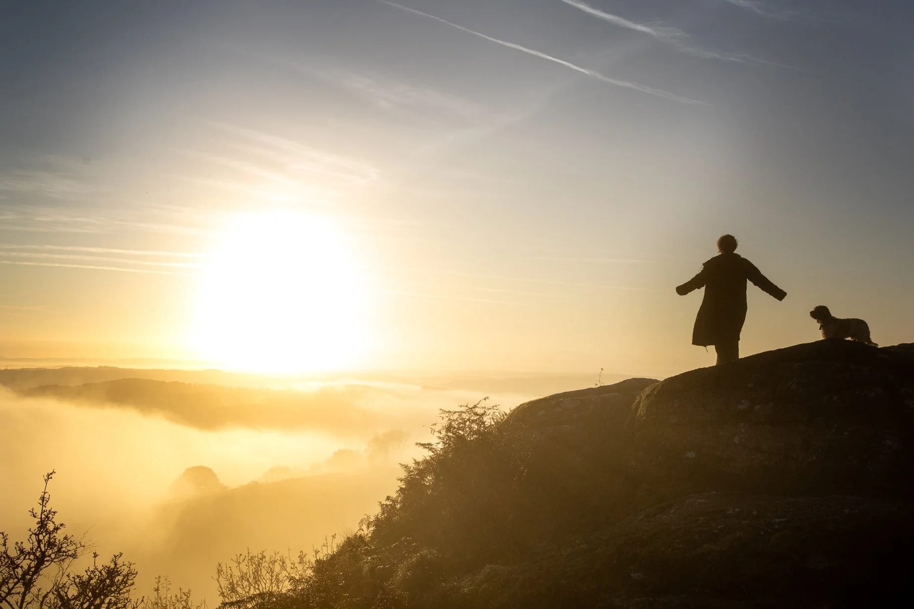 A person standing outdoors during sunrise or sunset, surrounded by trees and foliage, with mist in the background.