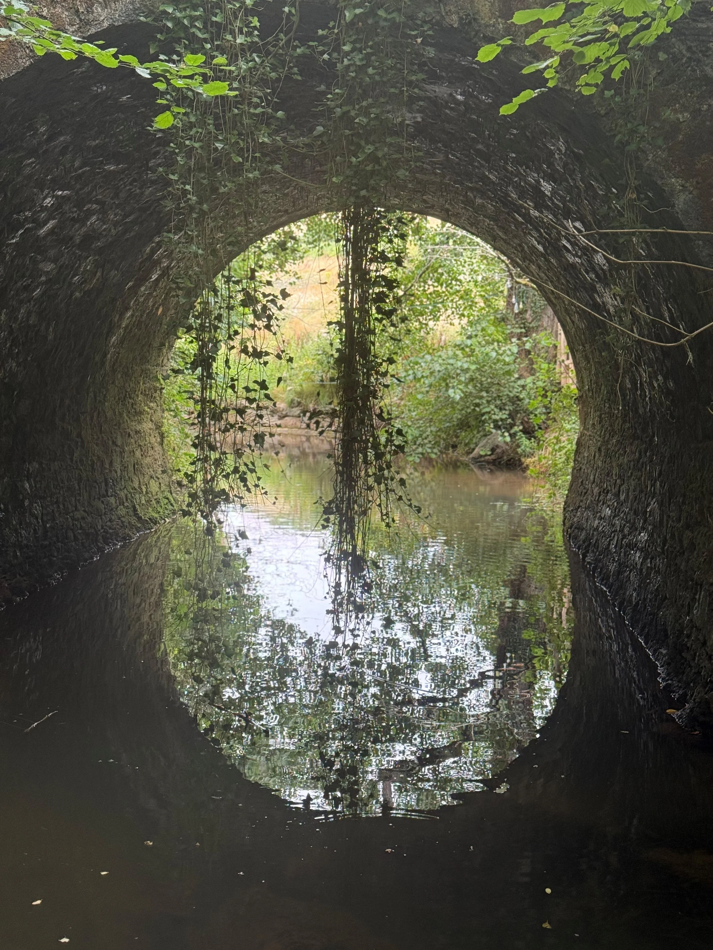 Regeneration of Life Beyond Recovery