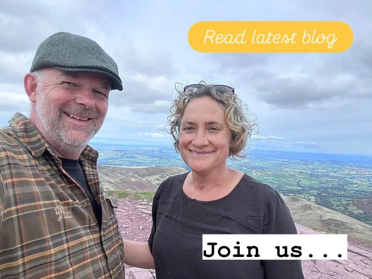 Regeneration isn&rsquo;t about going back to how things were.

It&rsquo;s about reconnecting with the life force within us&mdash;and around us&mdash;that knows how to adapt, renew, and create forward momentum.

This understanding of regeneration sits