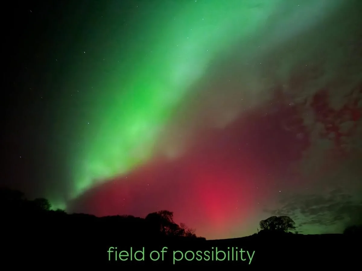 the field of possibility opened up into the skies last night 

the laughs of communal awe could be heard accross the village, even the owls were impressed 🦉✨

#fieldofpossibilities #wonderstruck #naturalmagic #northernstars