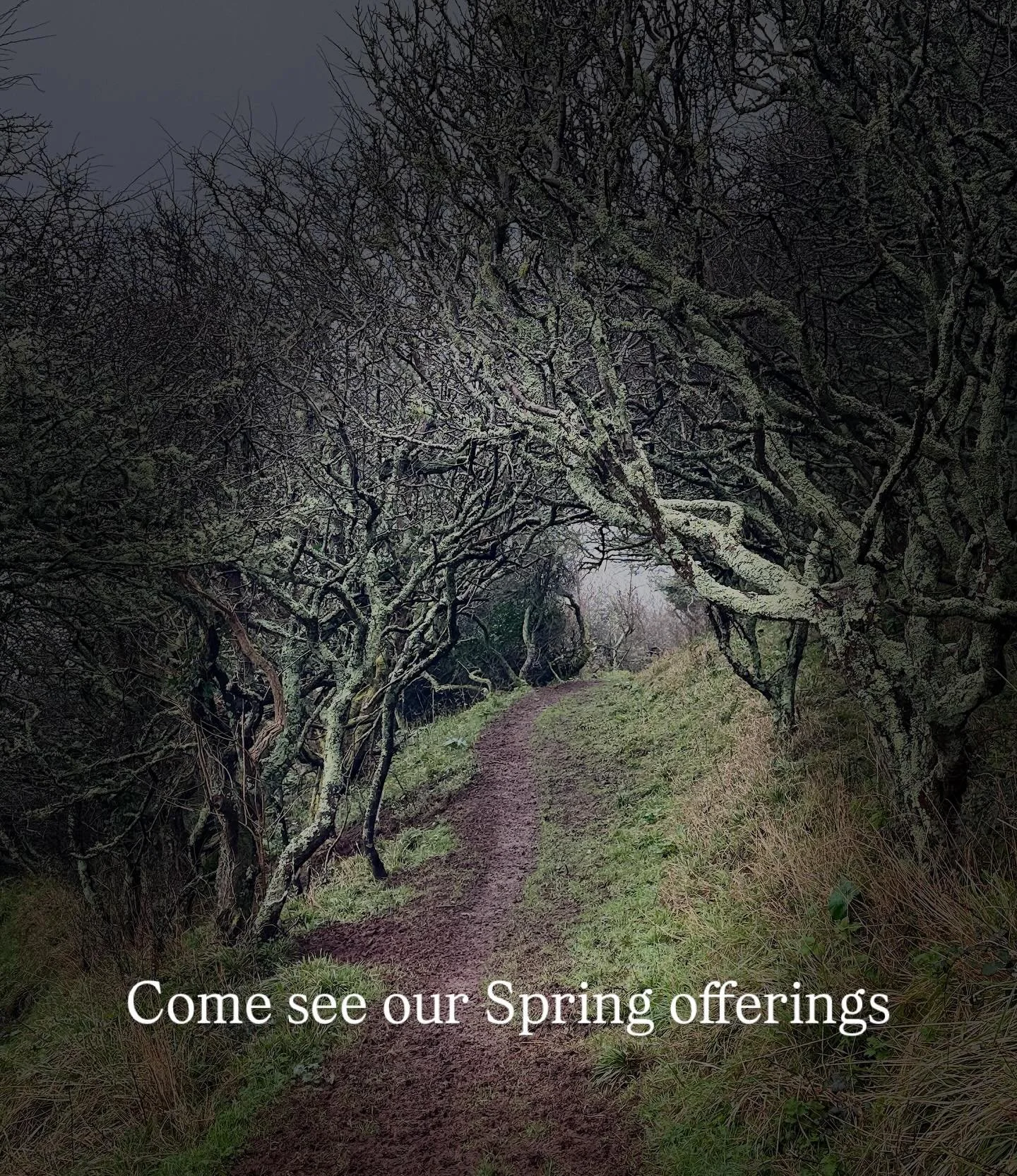 Check out our latest offerings along with news about the newly formed CIC, Gathering Ground, and wonder-filled fundraising event happening on 26th March - please spread the word.

Links to recent newsletter and info on all offerings in bio

#fieldofp