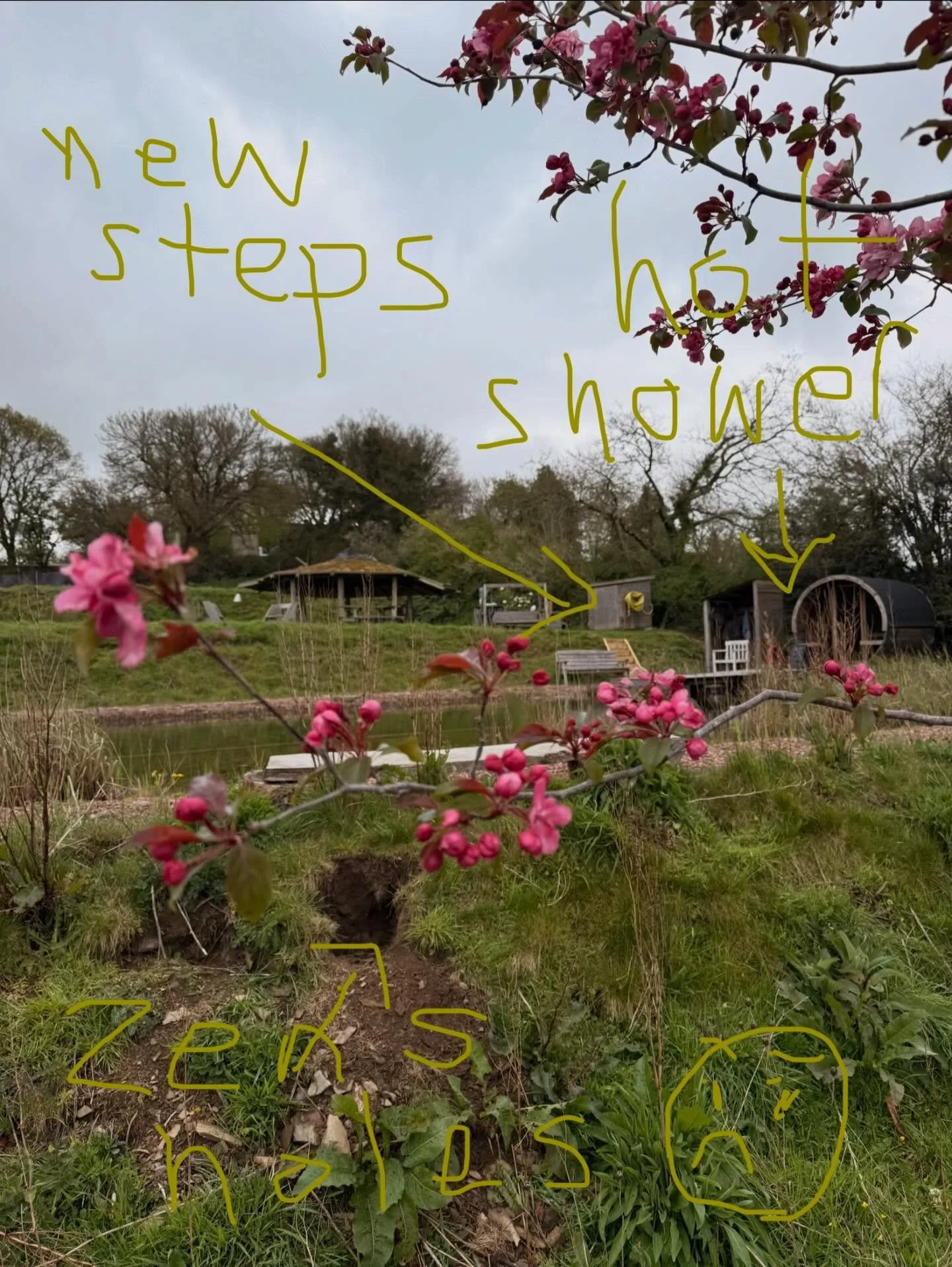 Growth in the field of possibility 🌱🪺🪻✨

👀 looks like 

- discovering all the holes Zen 🐾 has been digging, that erode the land 🙄

- building new steps and fixing hot shower 🙌🏼

- encountering the magnificence of dock roots 

- creating a new
