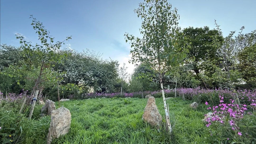 If you suddenly and unexpectedly feel joy, don&rsquo;t hesitate. Give in to it.&rdquo;
~ Mary Oliver 🌿

Spring's vitality and growth is feeling quite contagious here in the field of possibility.

In this month&rsquo;s newsletter we&rsquo;re sharing: