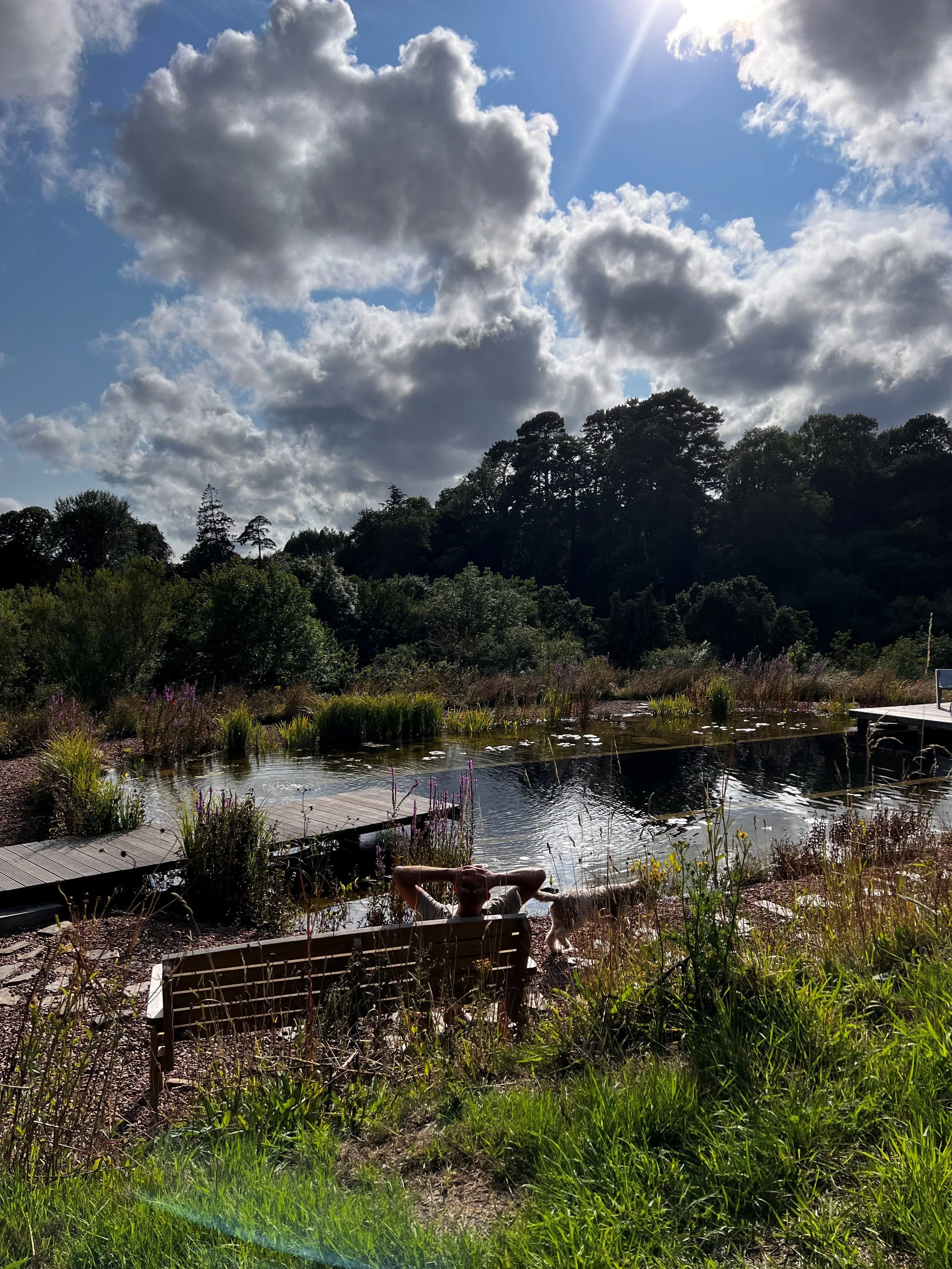 relax by pond in field.jpg