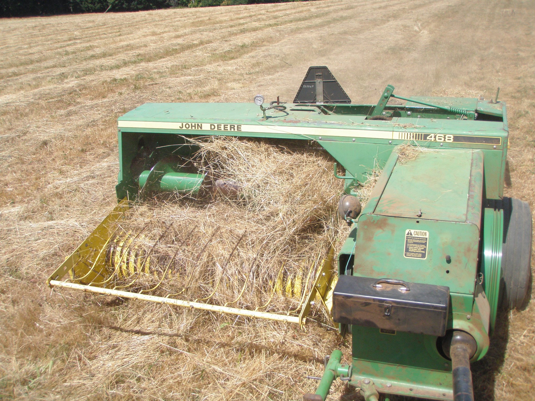Making Hay.JPG