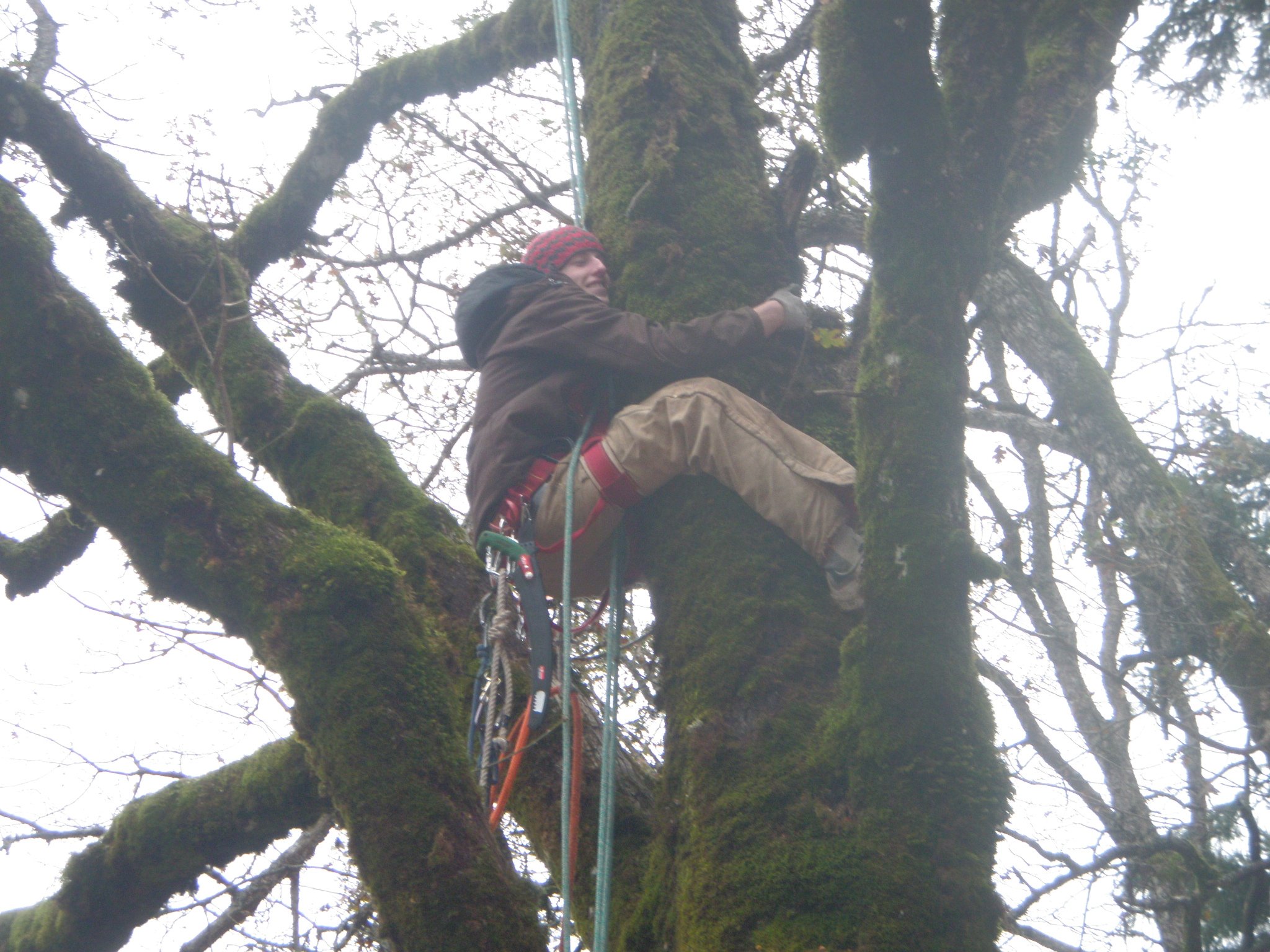 tree hugging.JPG