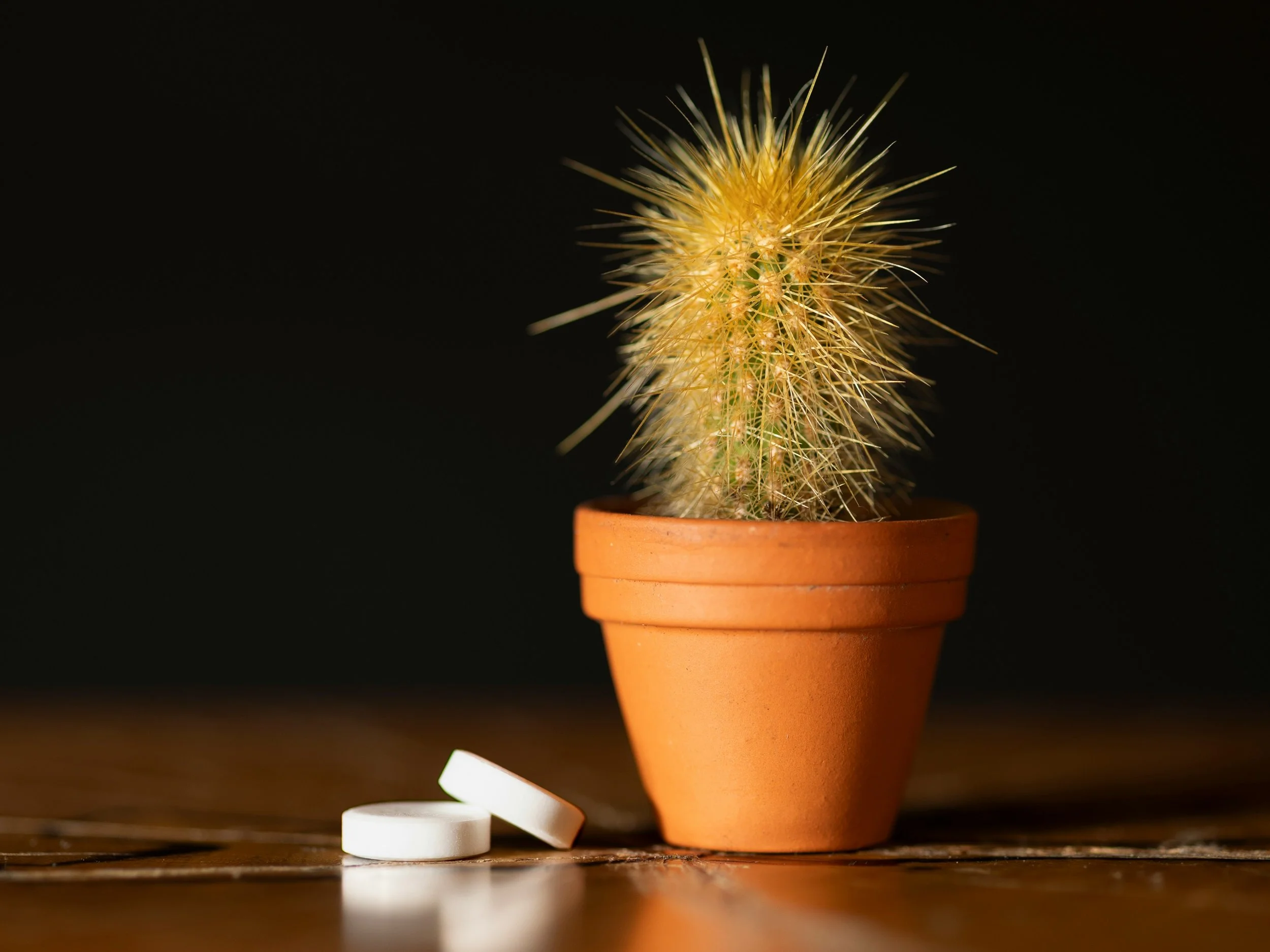 Chronic Pain & Chronic Illness