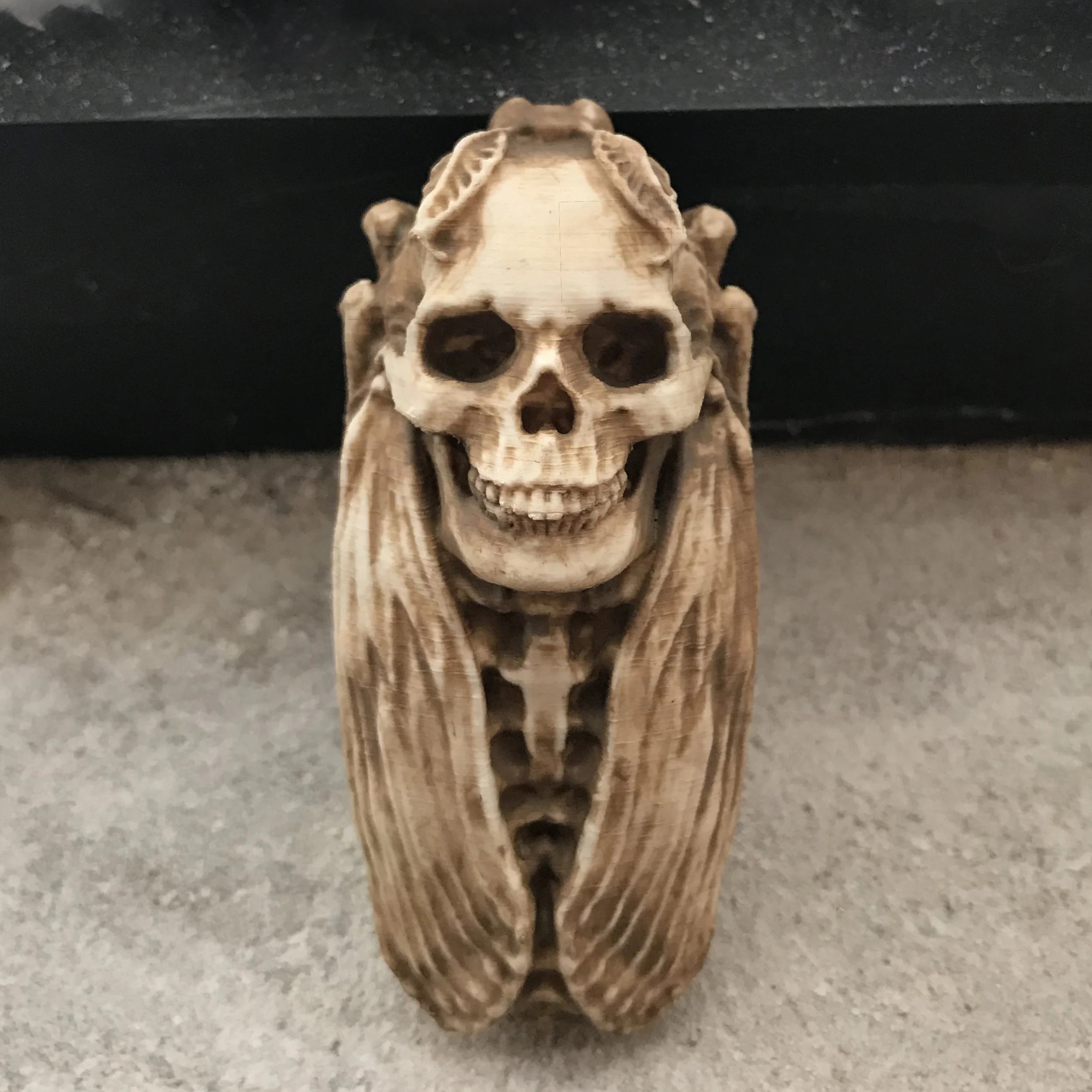 "Death Head's Moth"
3D Printed PLA & Acrylic
3" x 1" x 1"