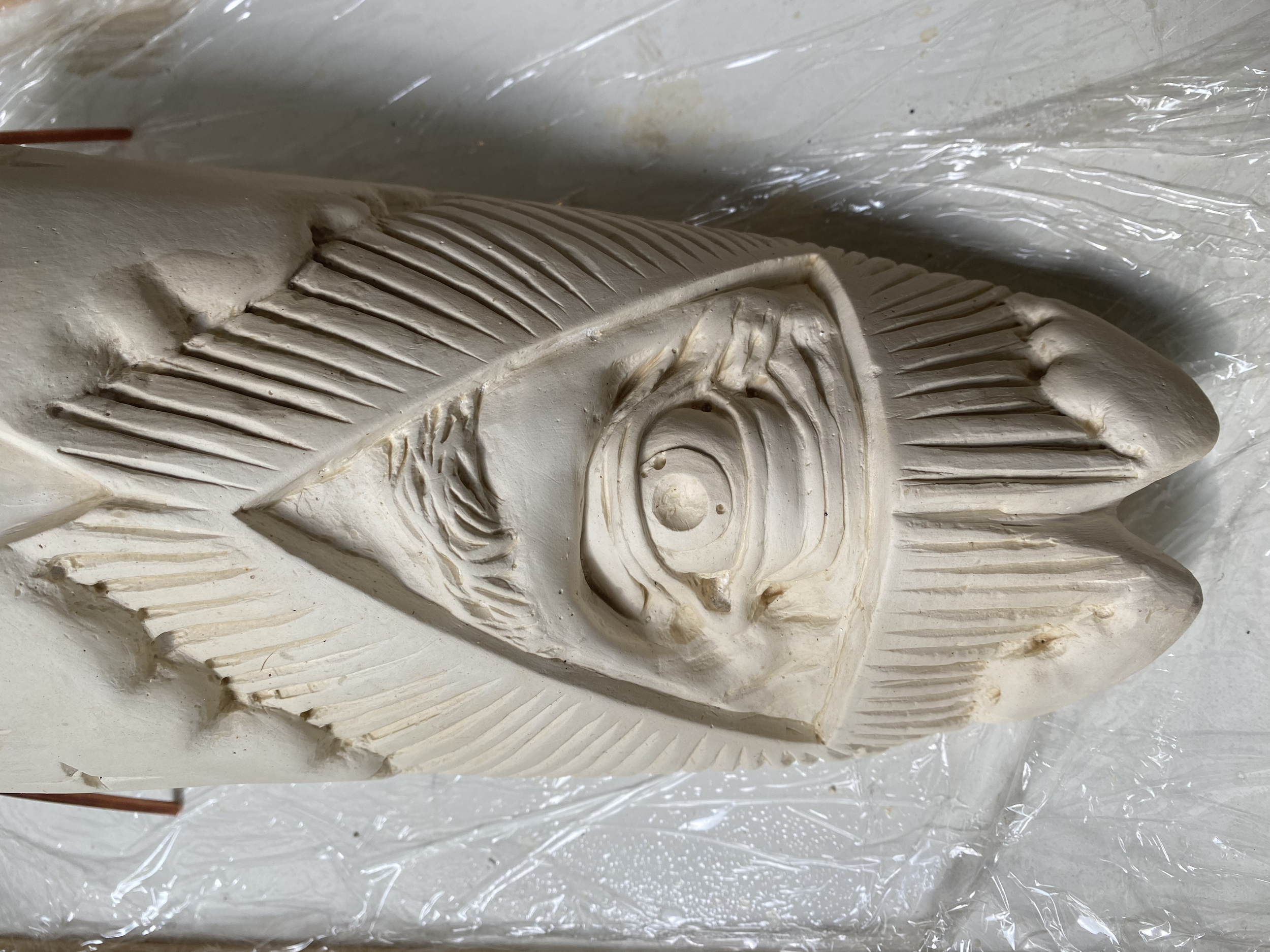 "All-Seeing Cicada"
Carved Plaster & Enamel
Bare plaster detail