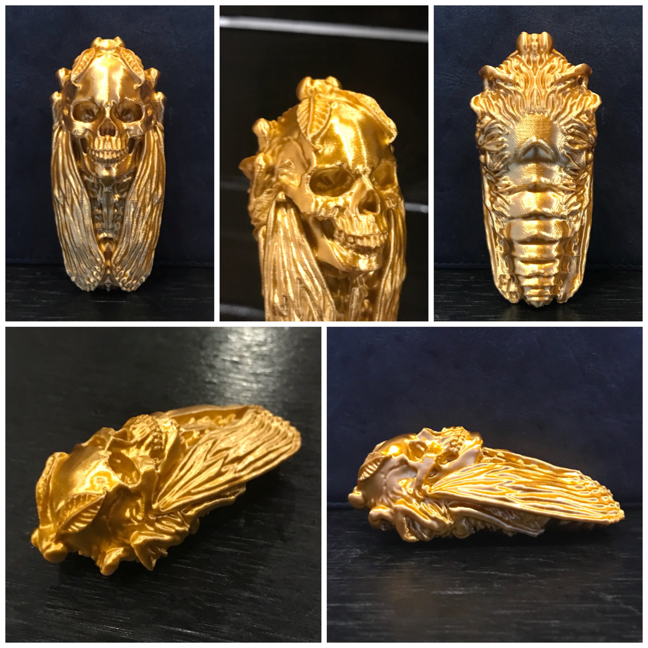 "Death Head's Moth in gold"
3D Printed PLA 
3" x 1" x 1"