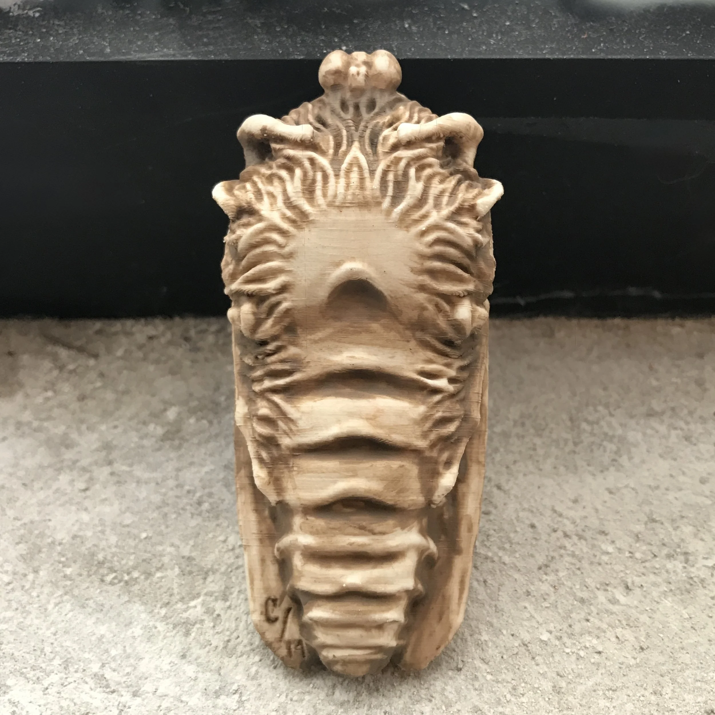"Death Head's Moth"
3D Printed PLA & Acrylic
3" x 1" x 1"