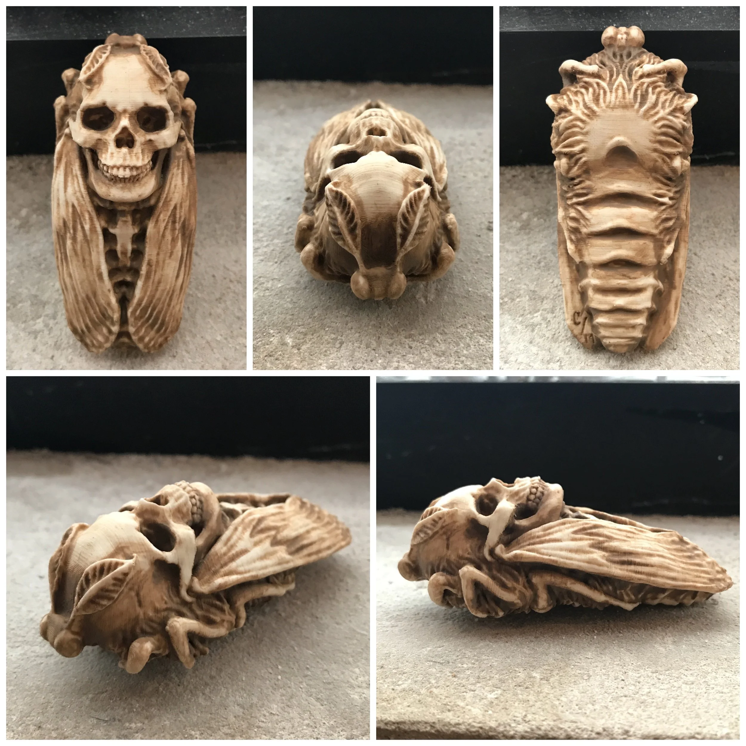 "Death Head's Moth in White”
3D Printed PLA & Acrylic
3" x 1" x 1"