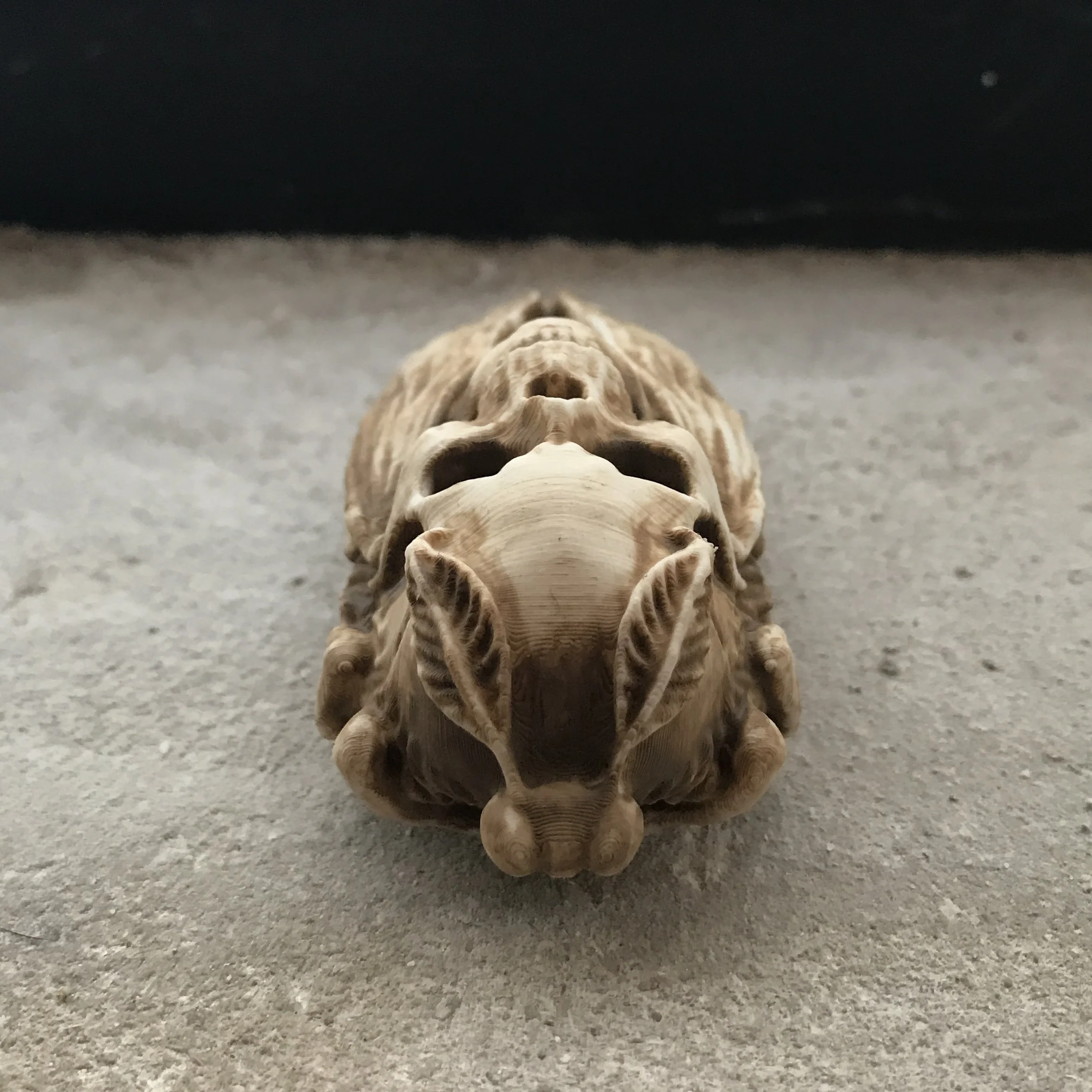 "Death Head's Moth"
3D Printed PLA & Acrylic
3" x 1" x 1"