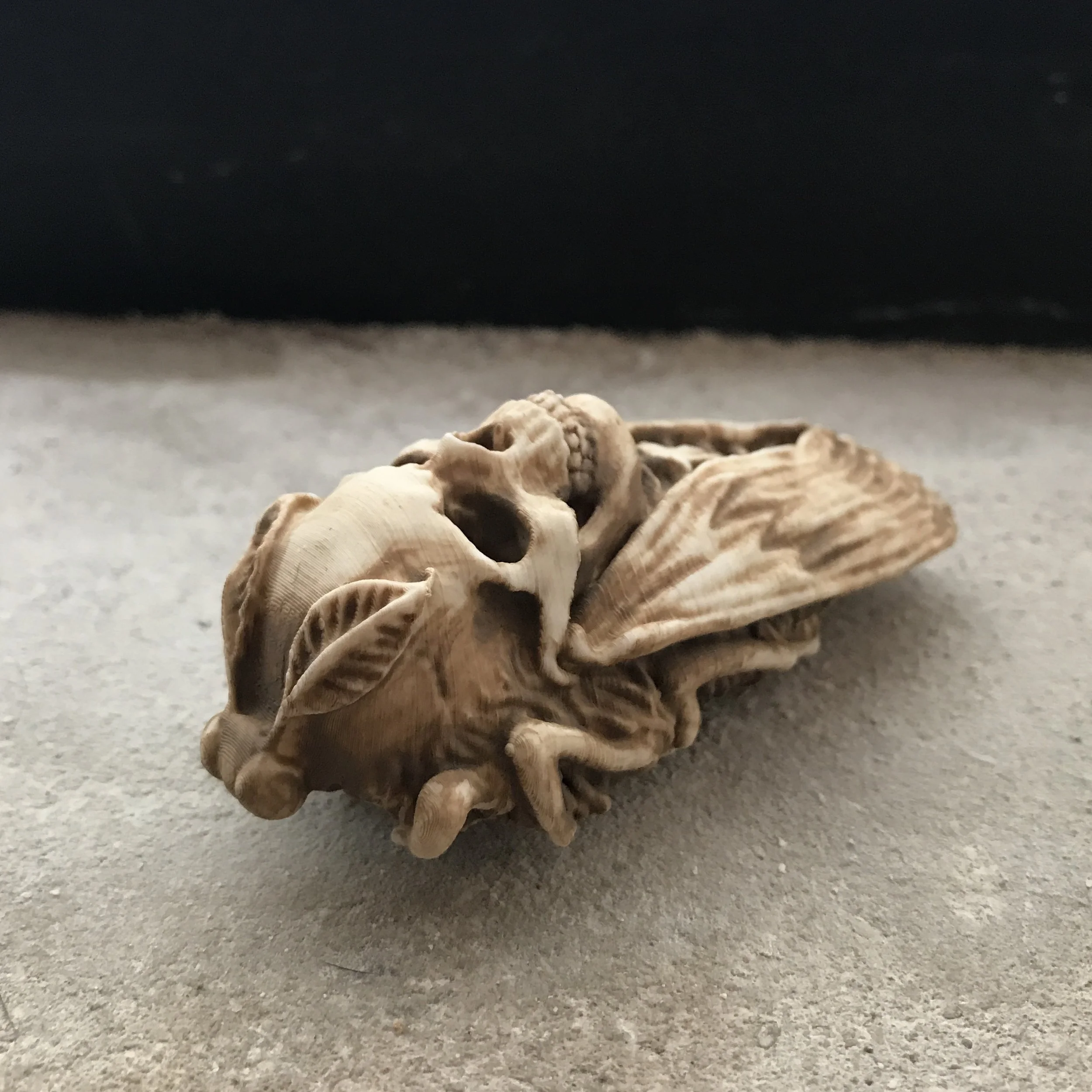 "Death Head's Moth"
3D Printed PLA & Acrylic
3" x 1" x 1"