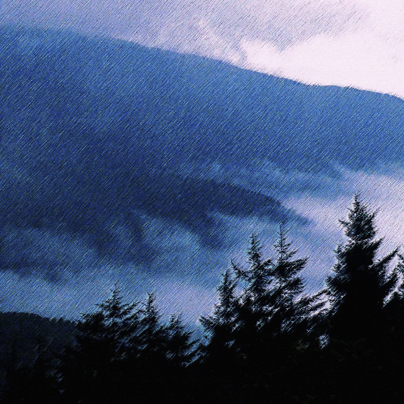 Mr. Yoshimura's Time in Asheville