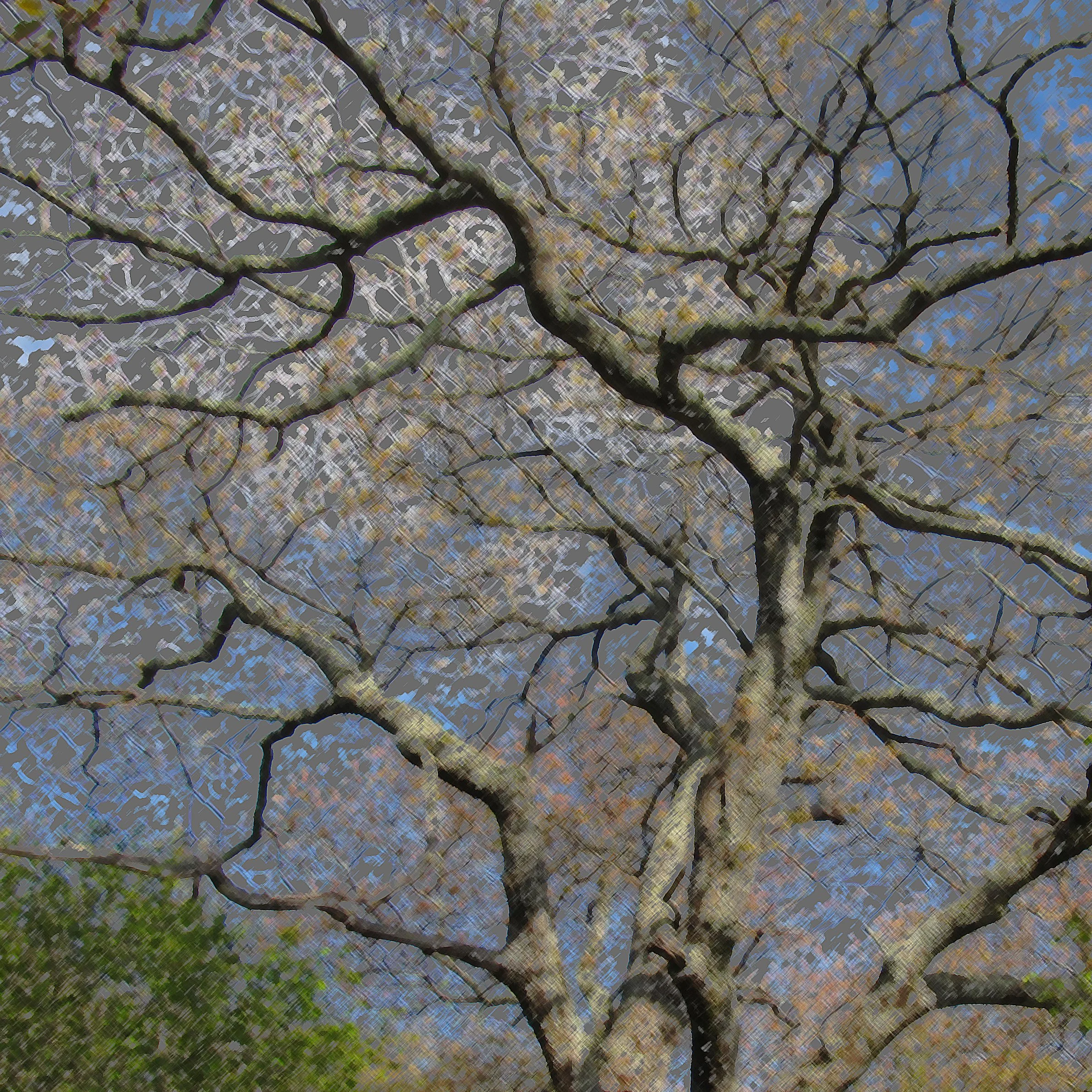 From a Letter to a Fellow Curator