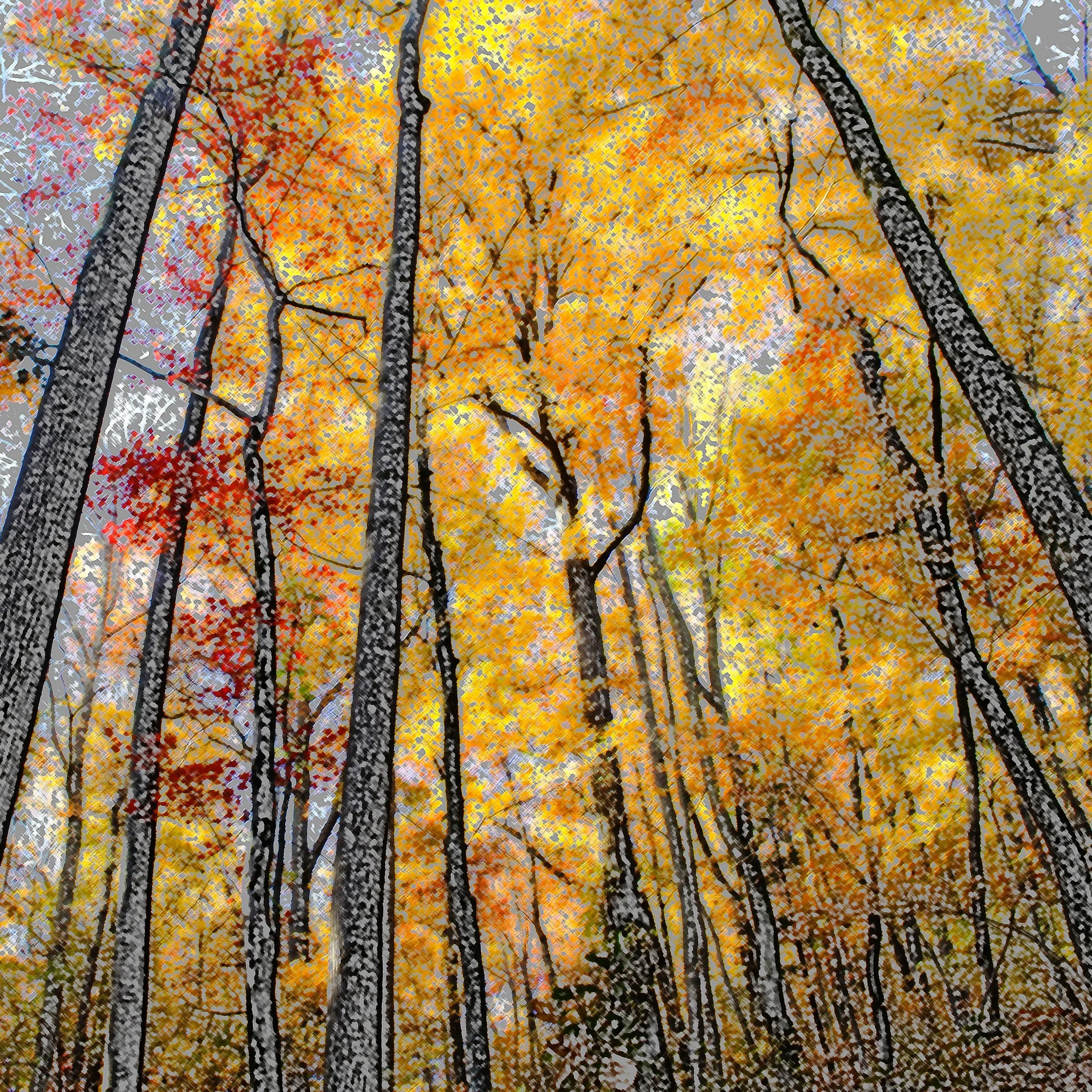 Water-and-Land Redux