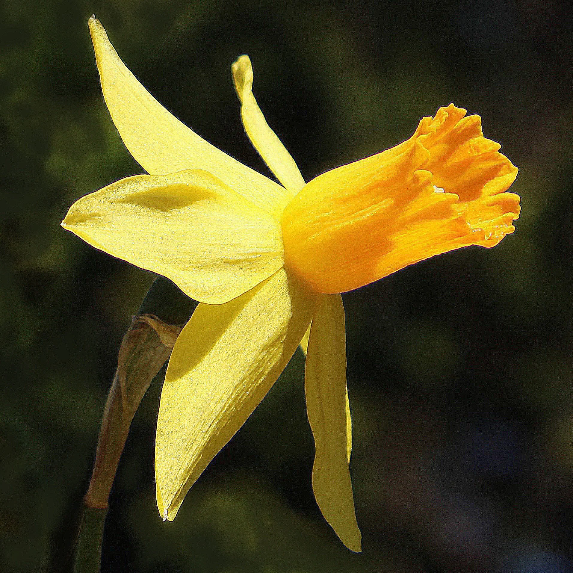 Report From the End(?) of Winter