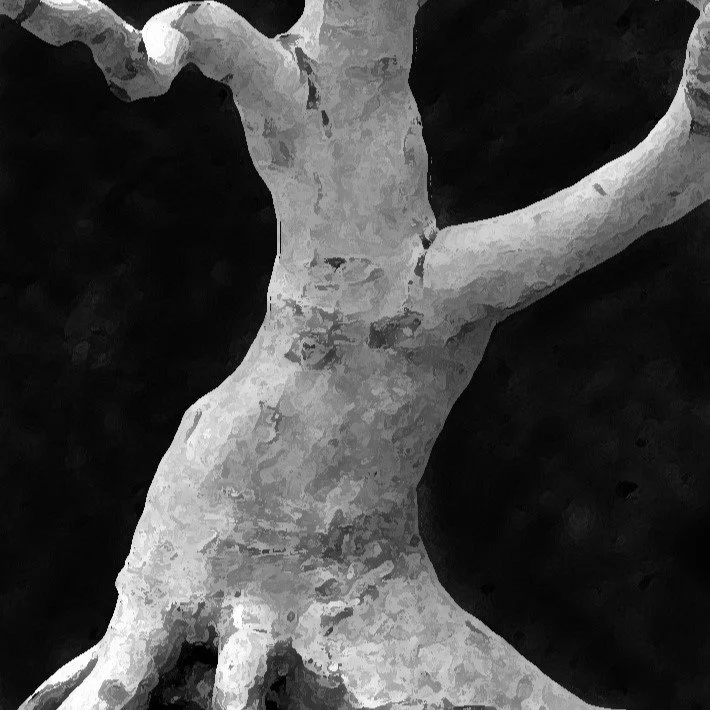 Lightning in a Bottle