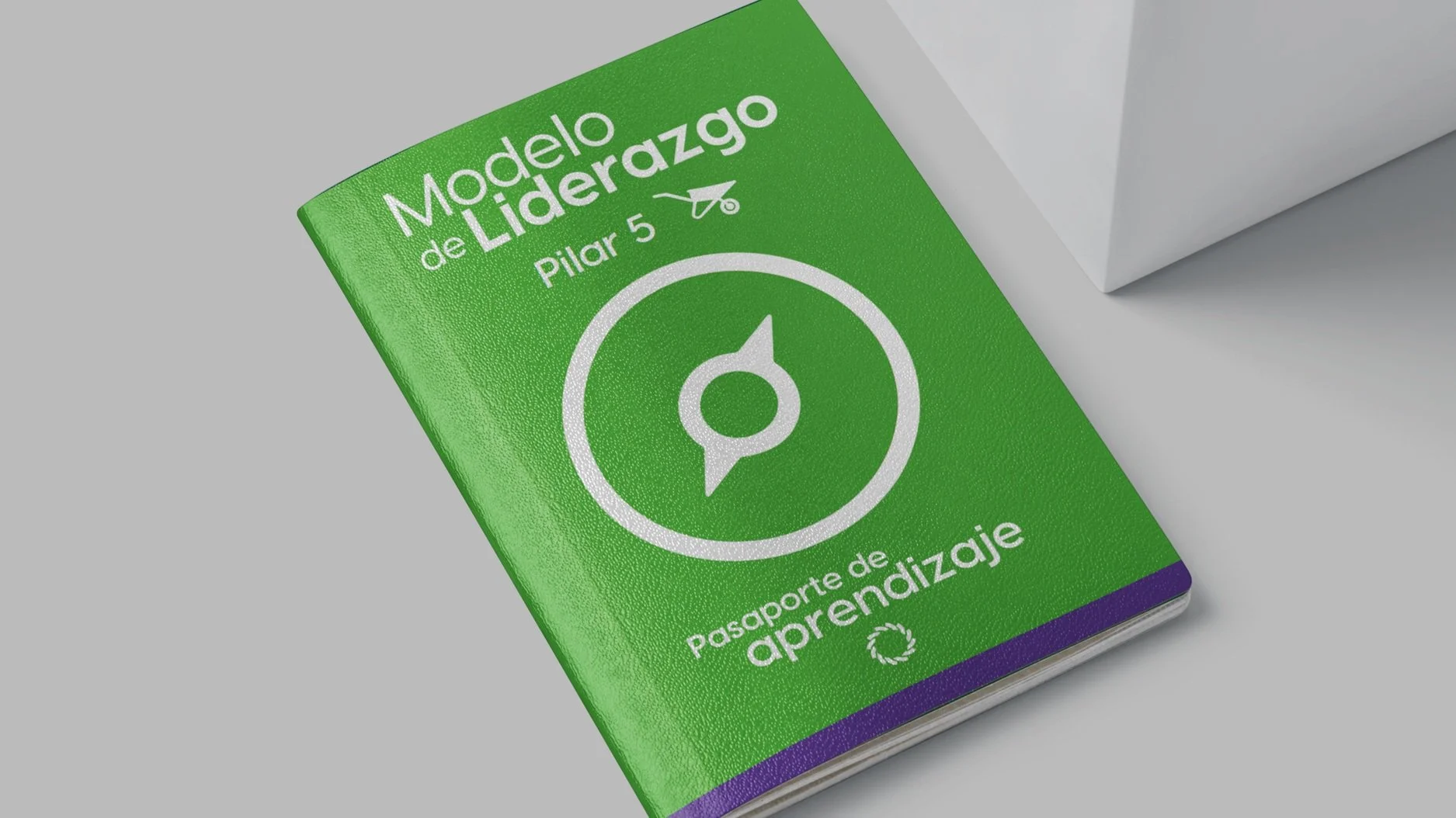 Inicio de Q2 - Pilar 5 Modelo de Liderazgo