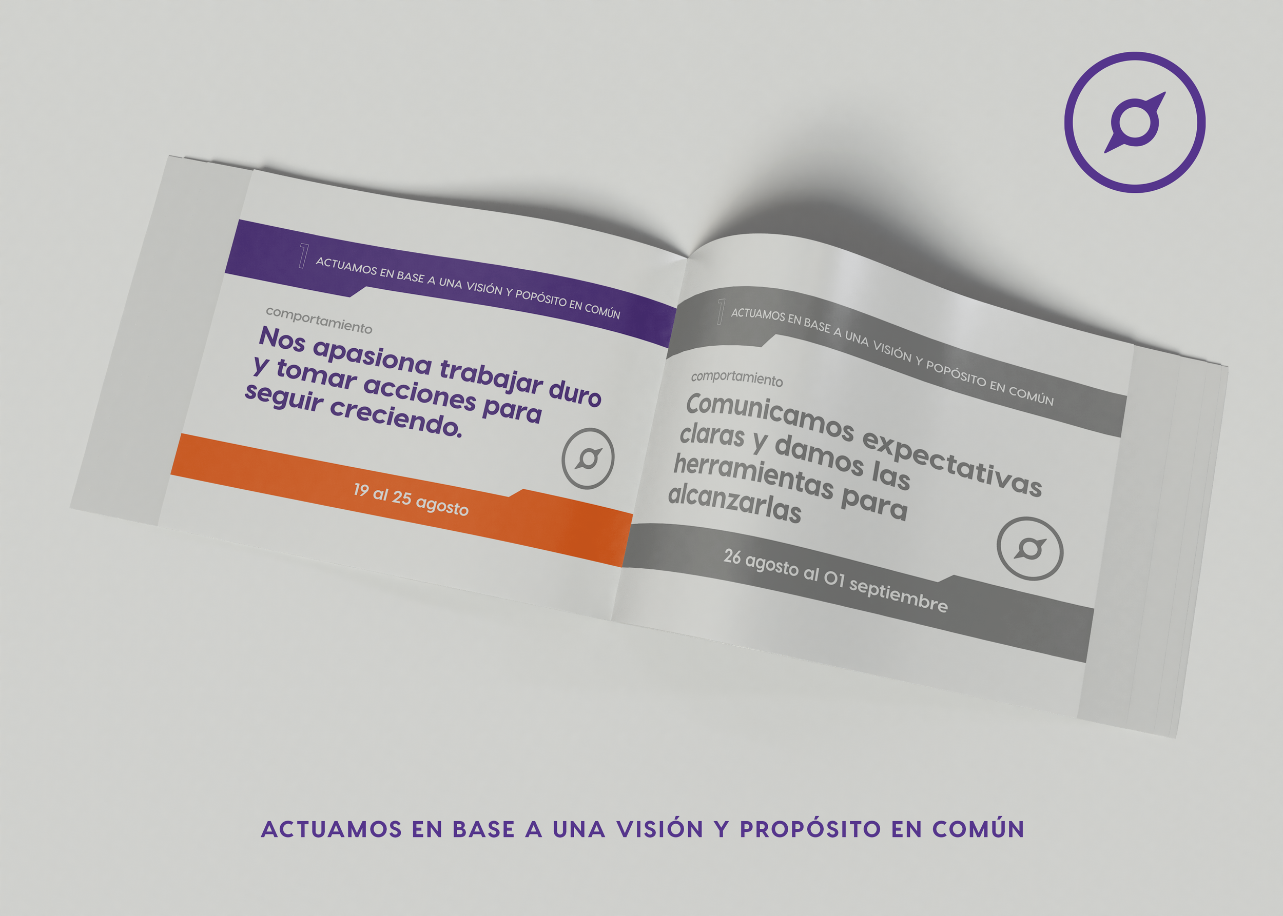 Modelo de liderazgo: Comportamiento de la semana