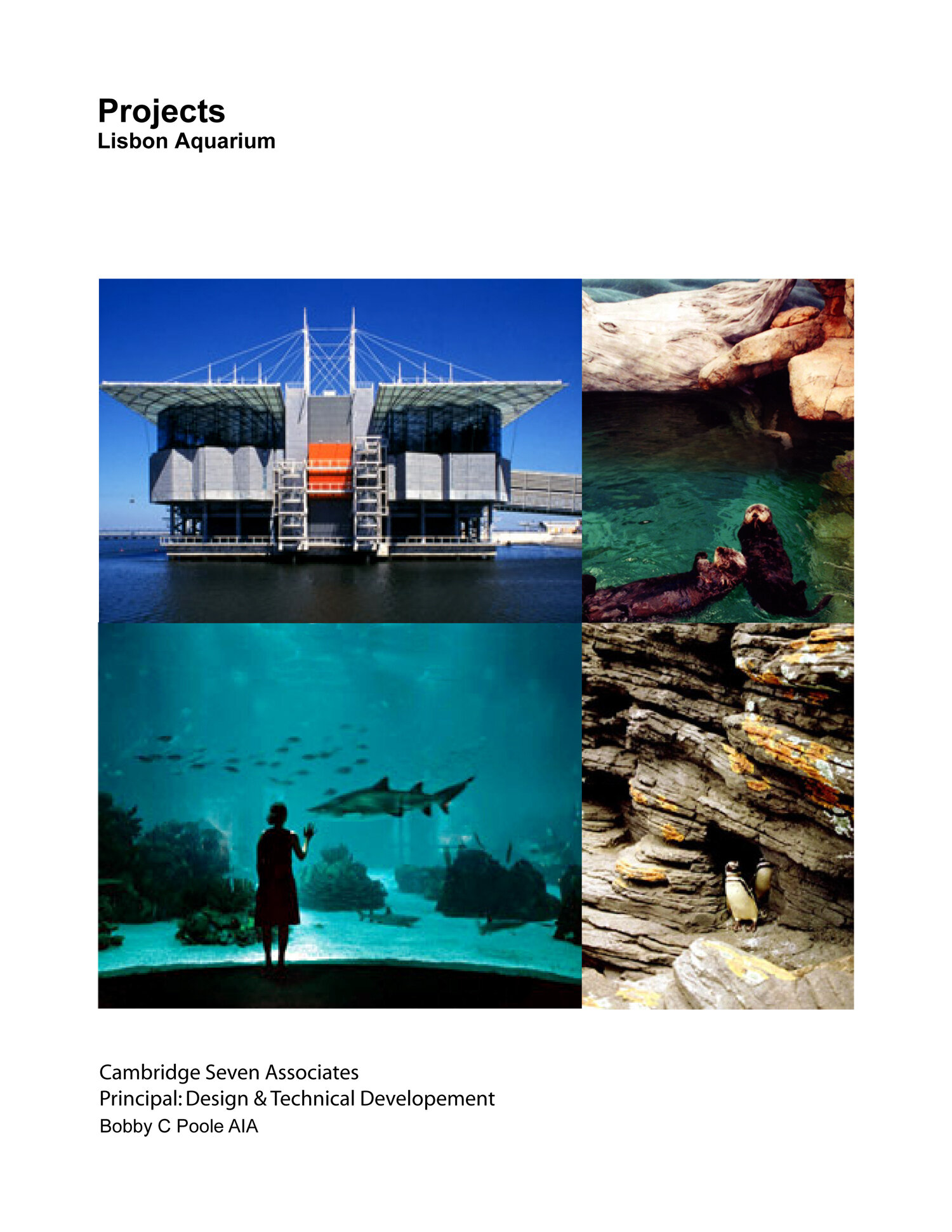 projectslisbonoceanarium.jpg