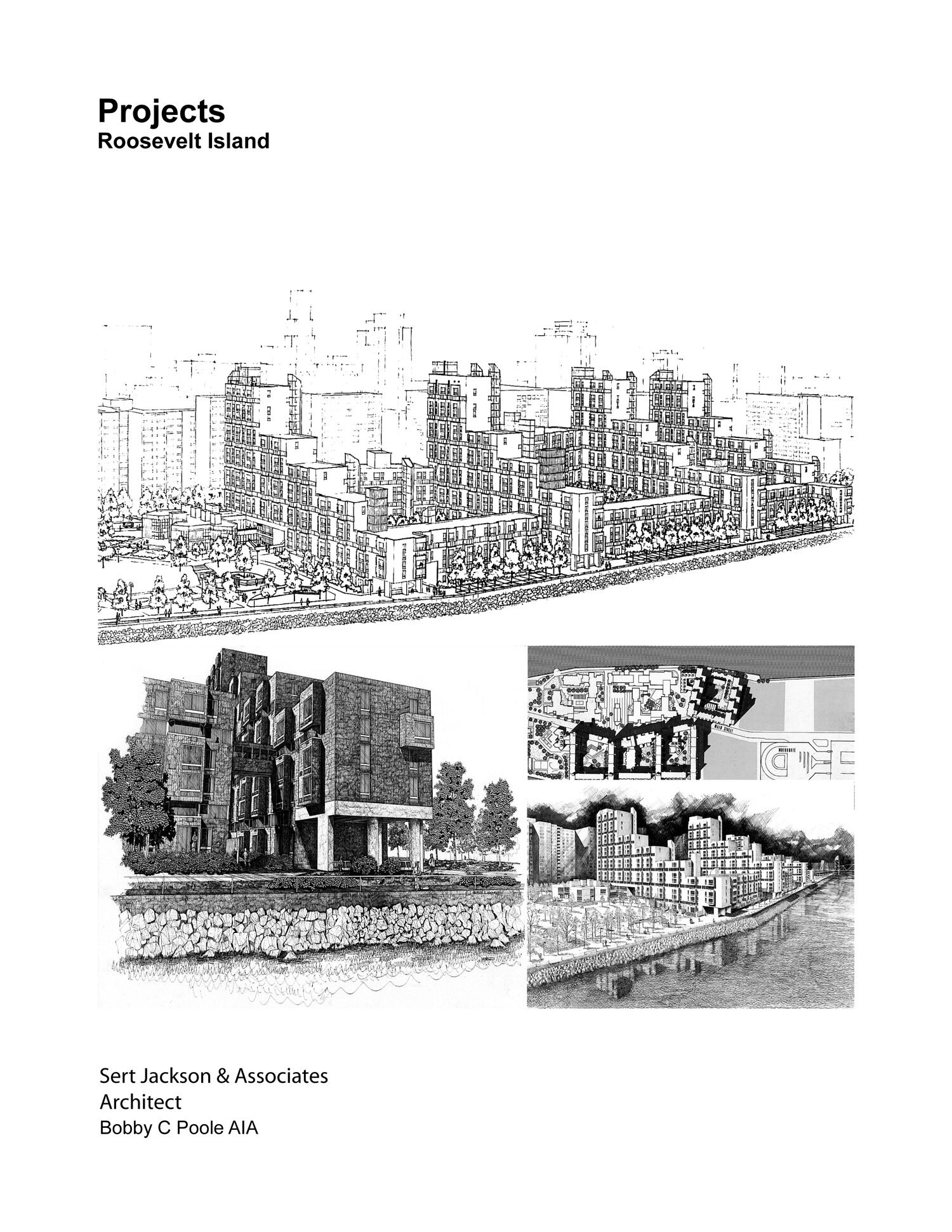 projectsrooseveltisland.jpg
