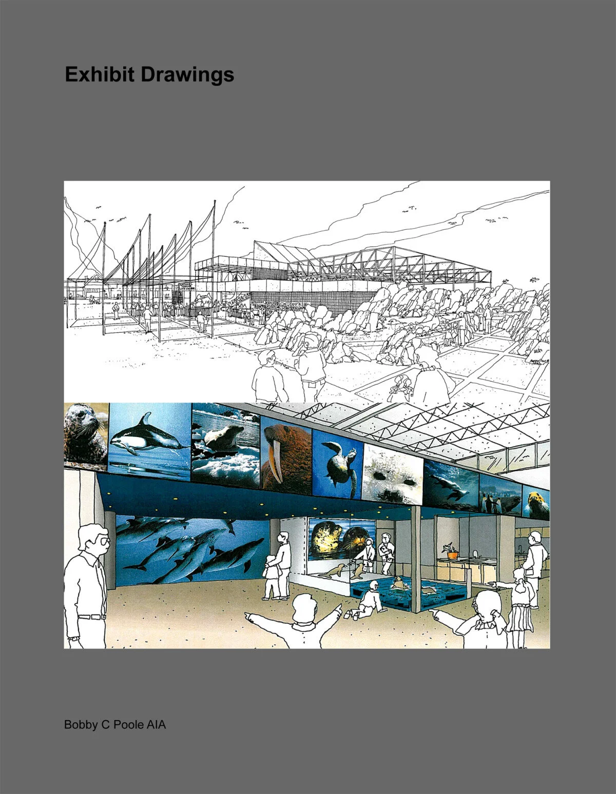 exhibitdrawingsnationalmarinelifecenterpage1.jpg