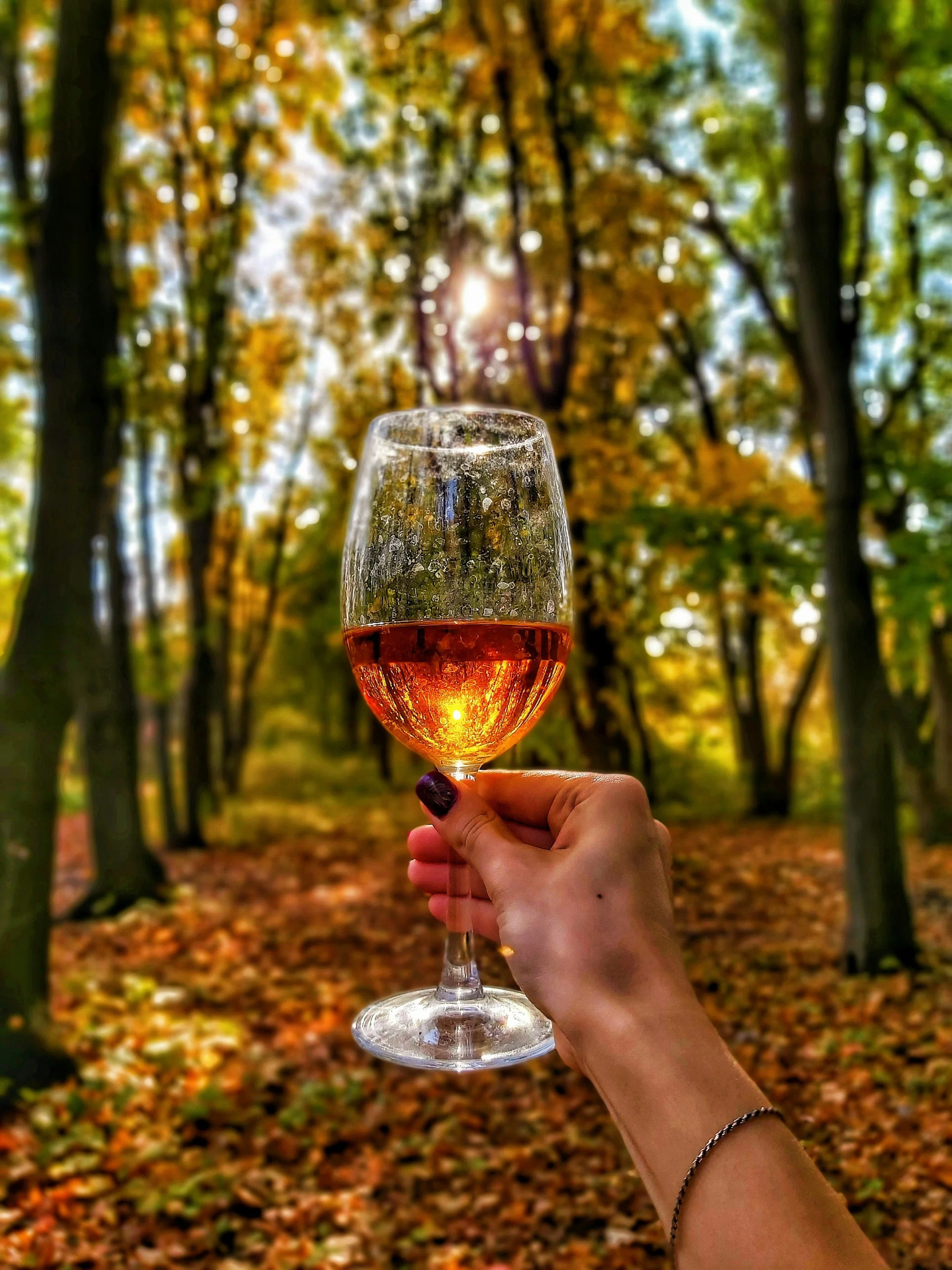 Sipping Wine During Sweater-Weather: Chicago Area Wineries That’ll Warm You Up