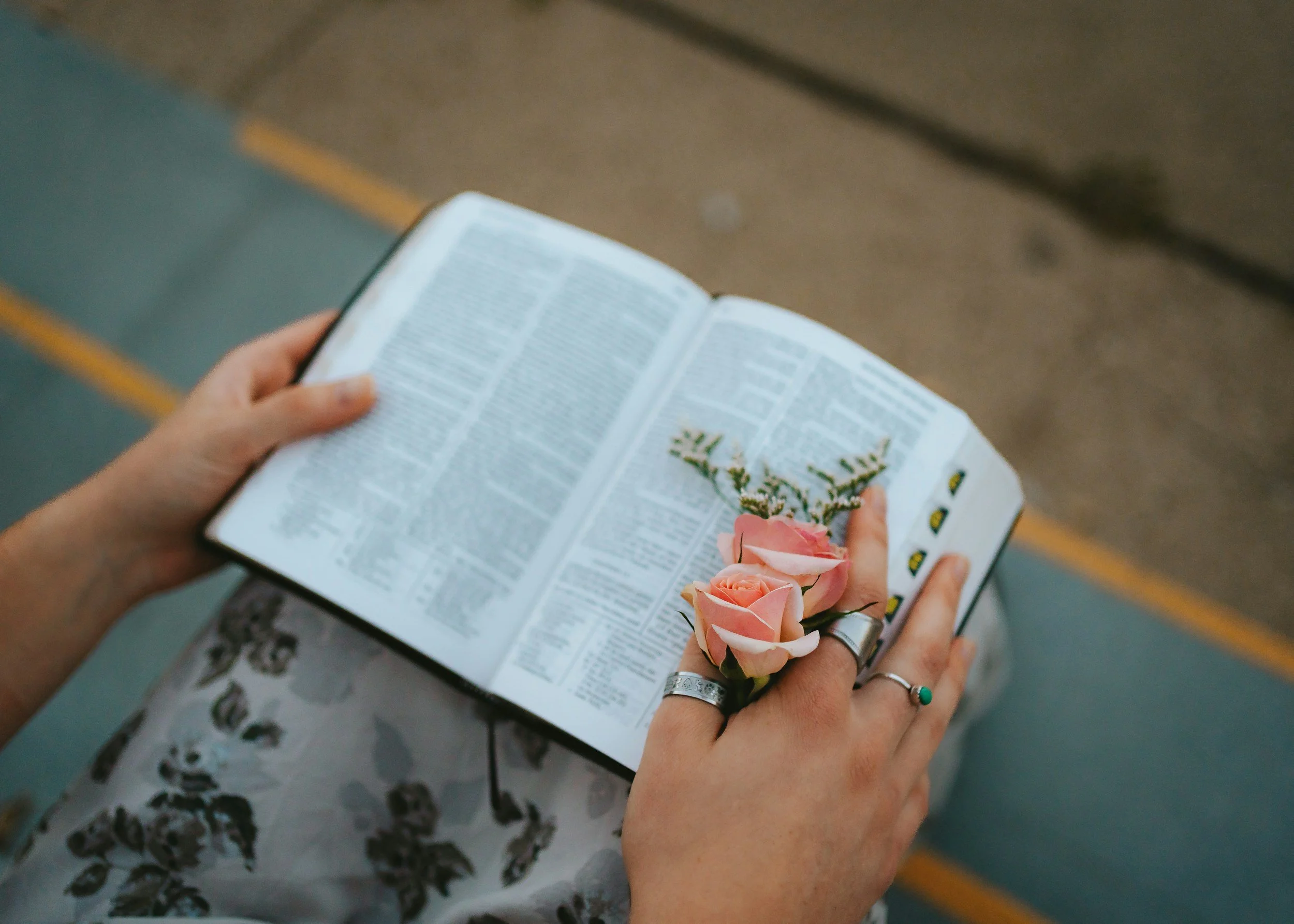 A close up of an open book of scripture in a person's lap. The book is being held open by two hands and there are two pink roses in the right hand.