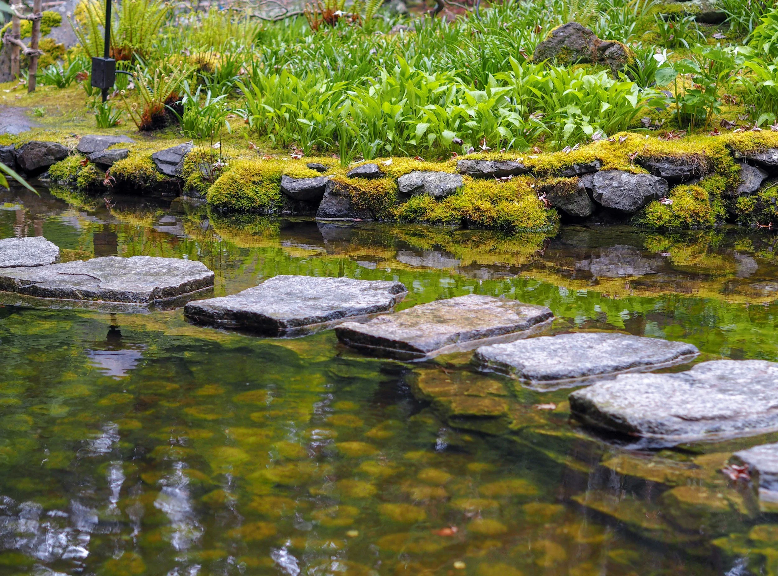 Stepping stones across a calm stream representing choosing the next helpful step while navigating difficult emotions.