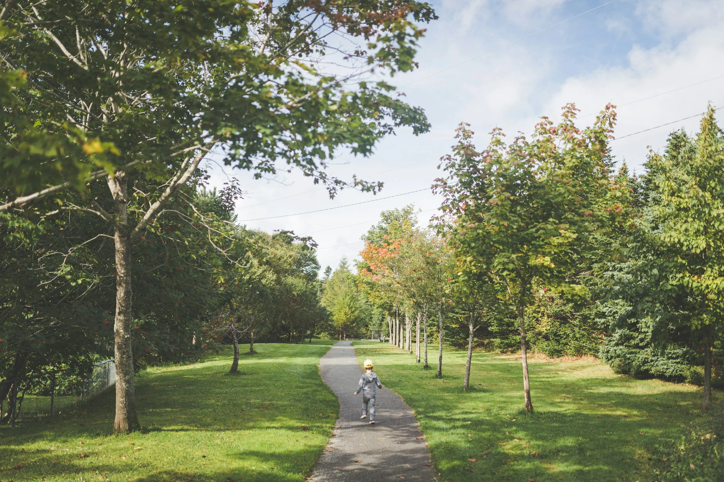 Young child walking along a winding path through a park, representing the ups and downs of childhood development, emotional resilience, and healthy growth.