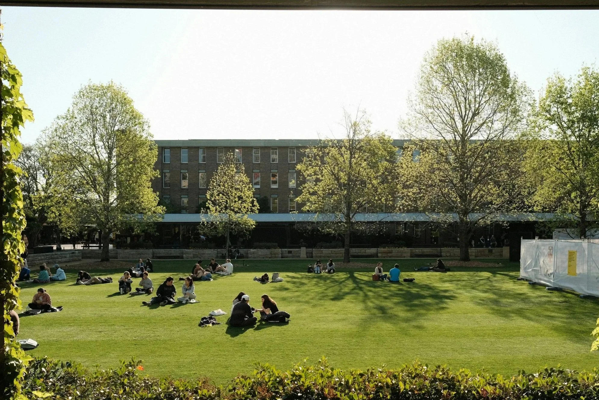 College campus with students gathering on the lawn, representing campus tours, student life, and choosing the right college environment.