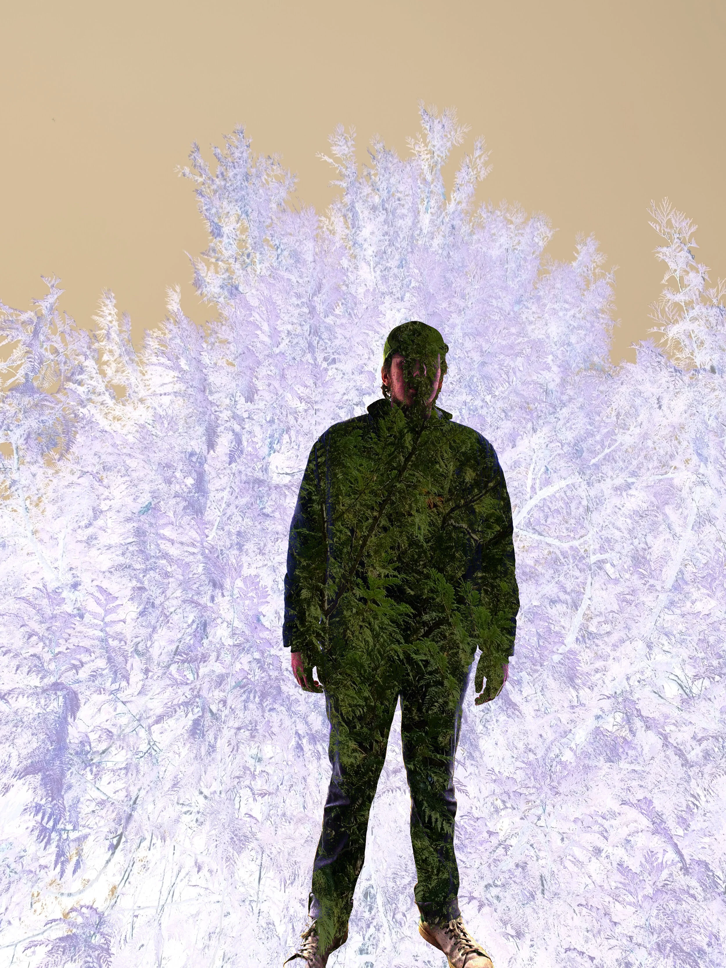 Self Portrait 12.jpg