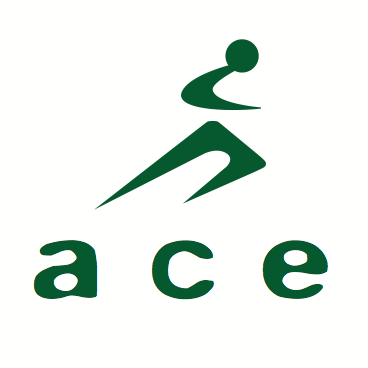 Ace Physical Therapy &amp; Sports Medicine