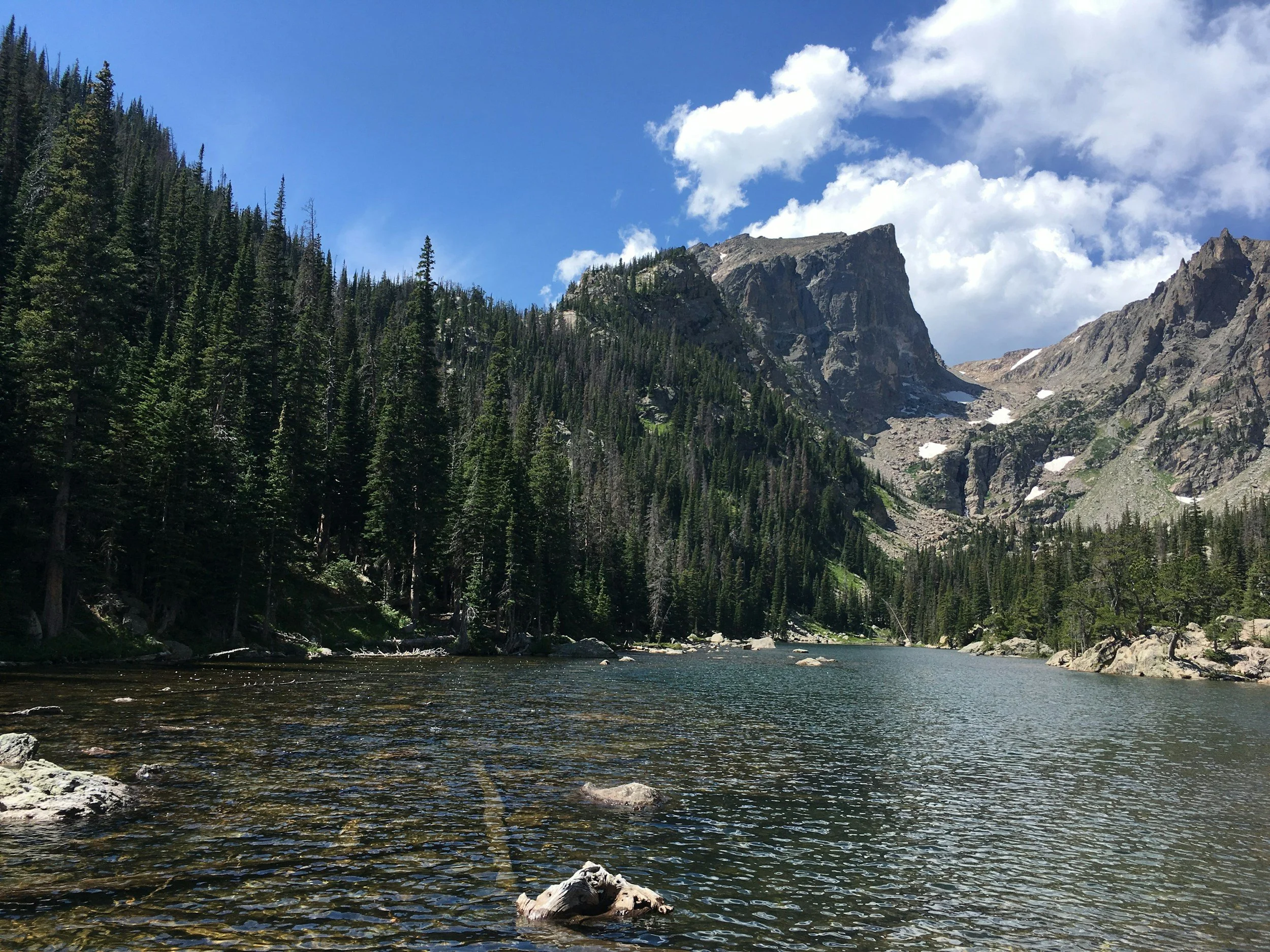 Volunteers for 2026 RMNP Summer Events 