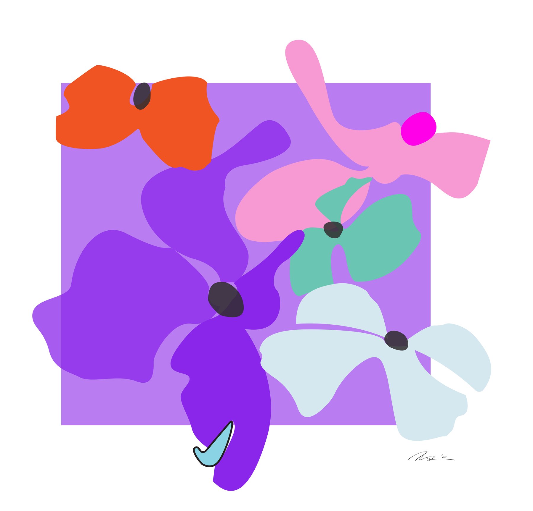 Hydrangea Moco in Purple
