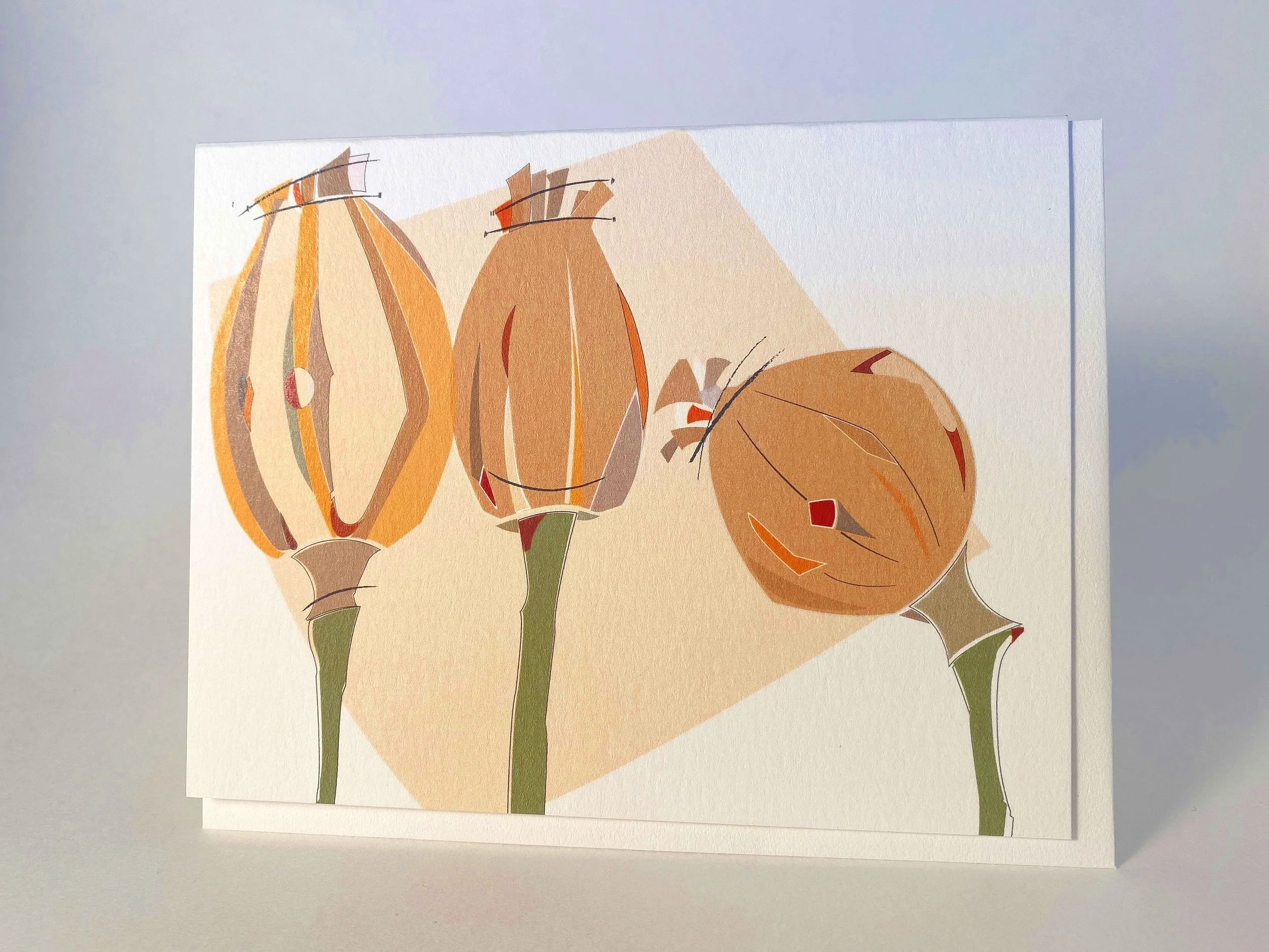 Three Poppy Seedpods